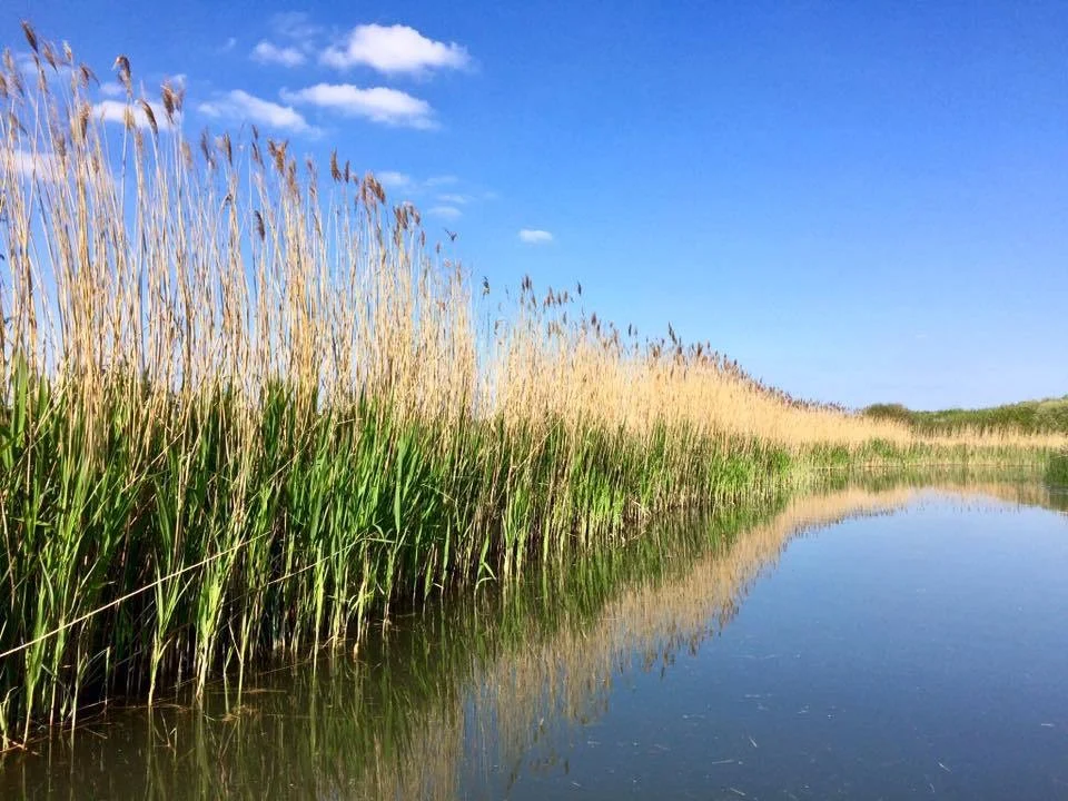 The Fens, Drainage and Beyond