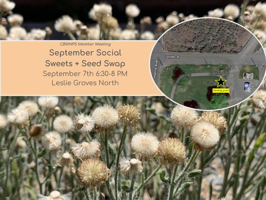 Tis' the seedson...;) Join us at Leslie Groves North this Wednesday 9/7 for our monthly member meeting! We&rsquo;ll swap native seeds, stories and savor some sweet treats while enjoying the sunset. We&rsquo;ll also have the opportunity to explore the