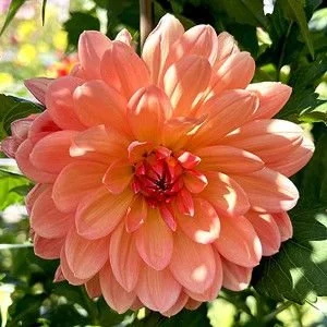 MakBettyLynn WL OR.jpg