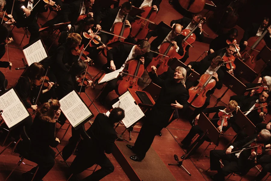 SYMPHONY 008.jpg