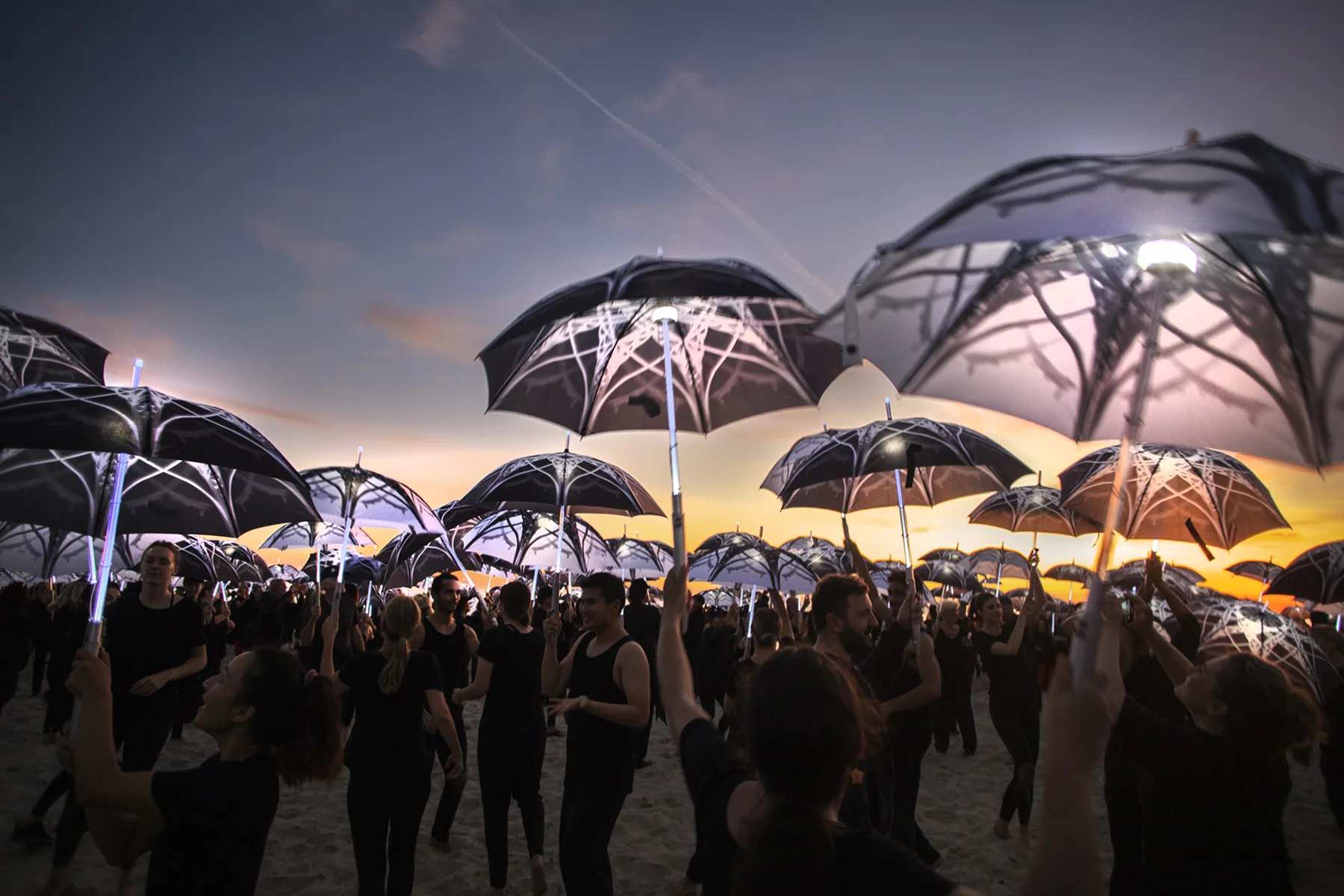 SHORELINE 005.jpg