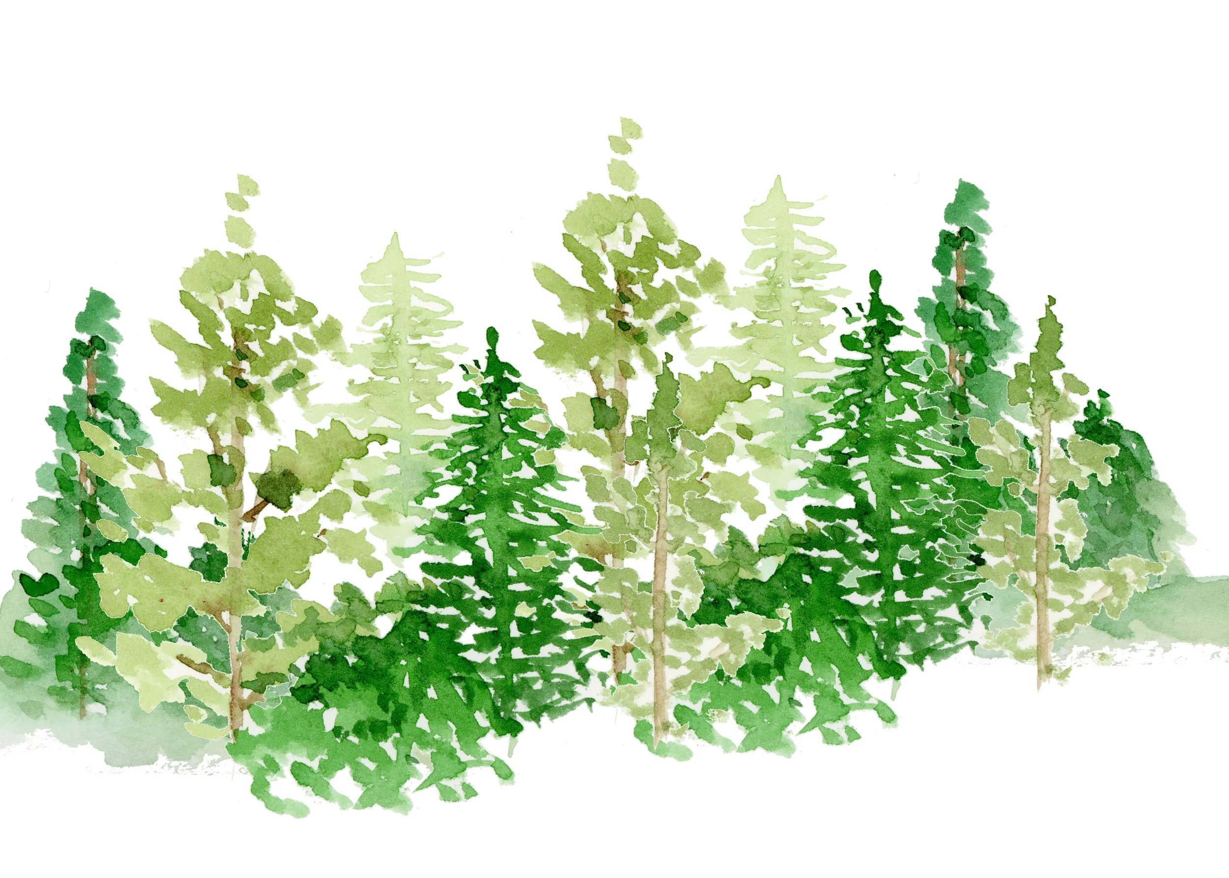 Little watercolor guide to hairstyles