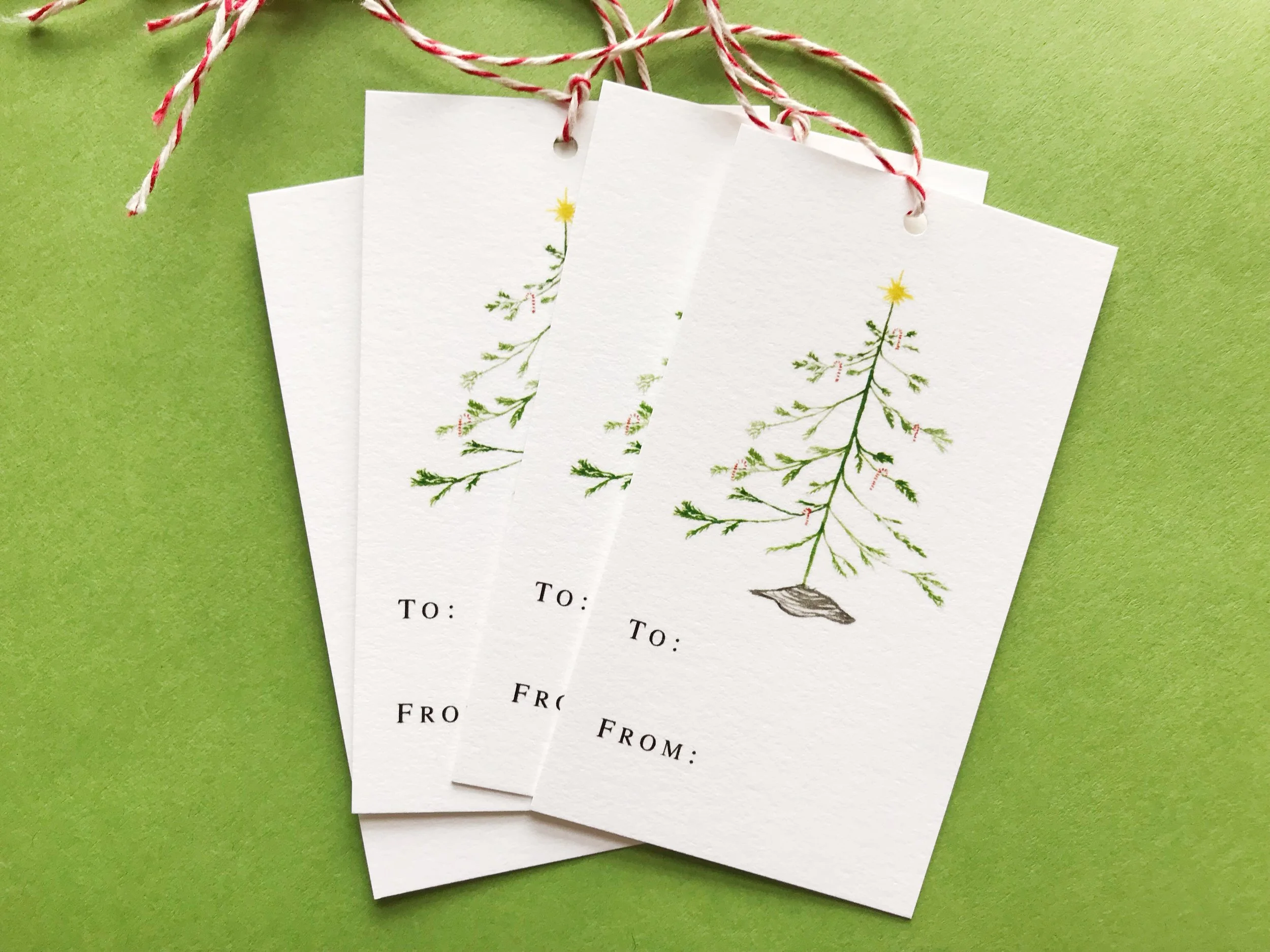 AfterlightImage 8.jpg