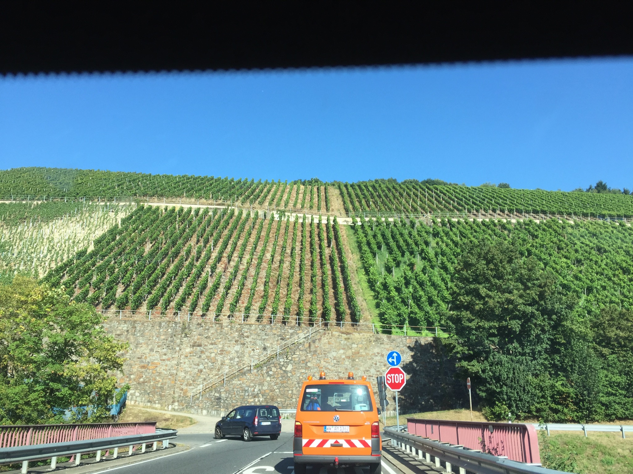 Driving through wine country en route to Koblenz.