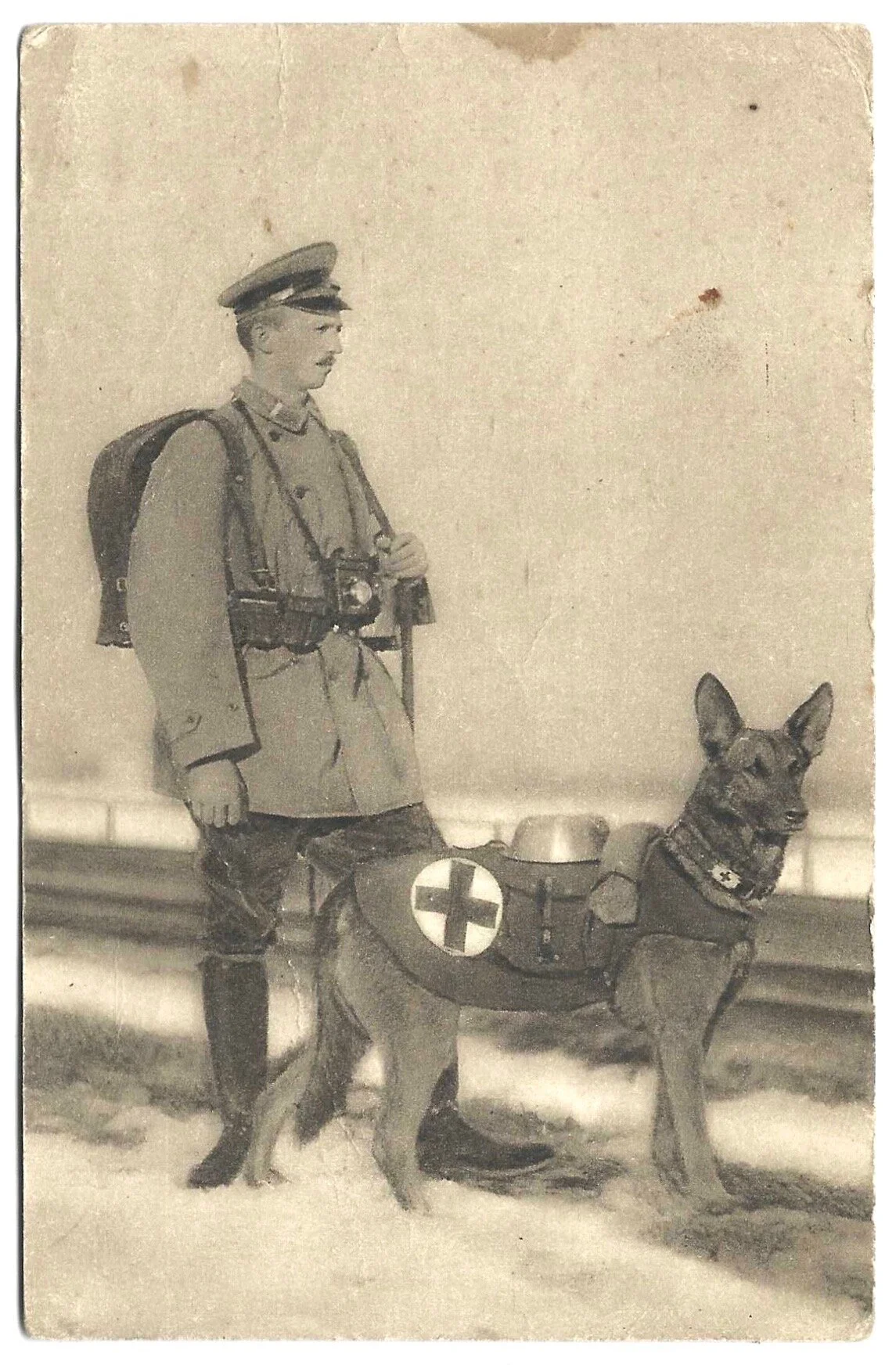 Photo_2021-02-19_144304 2.jpeg