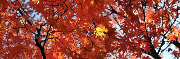 New Season, New Sociability