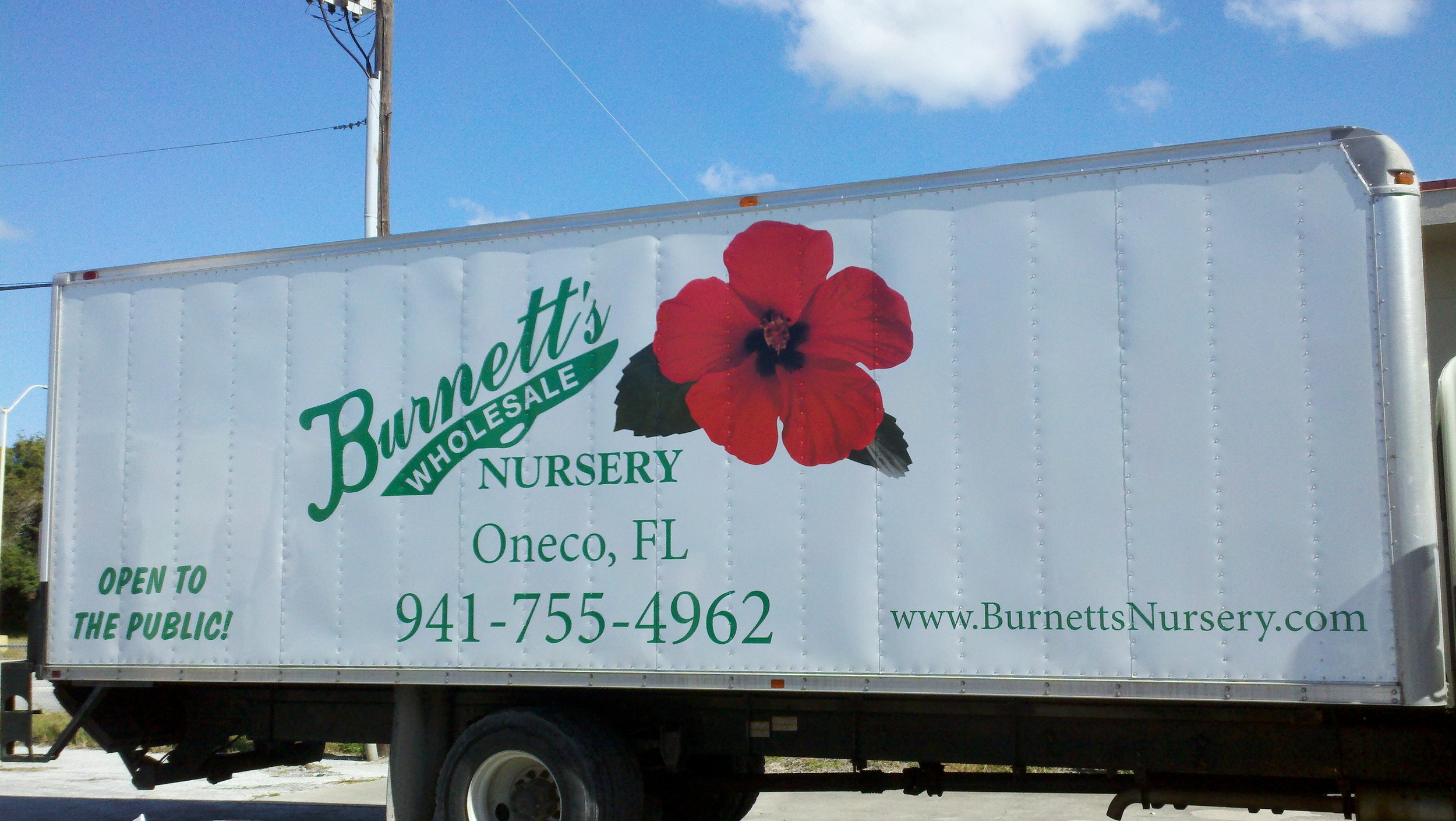 Vinyl Lettering, Digital Graphic Combo