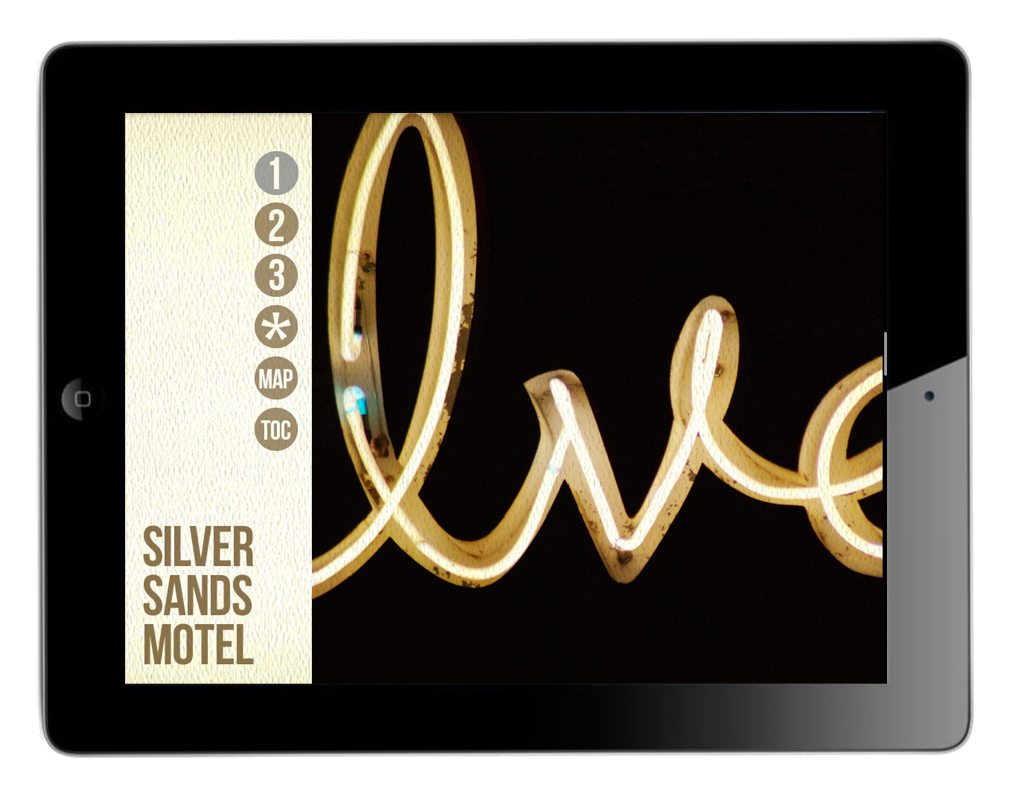 Viewed on ipad - silver.PNG