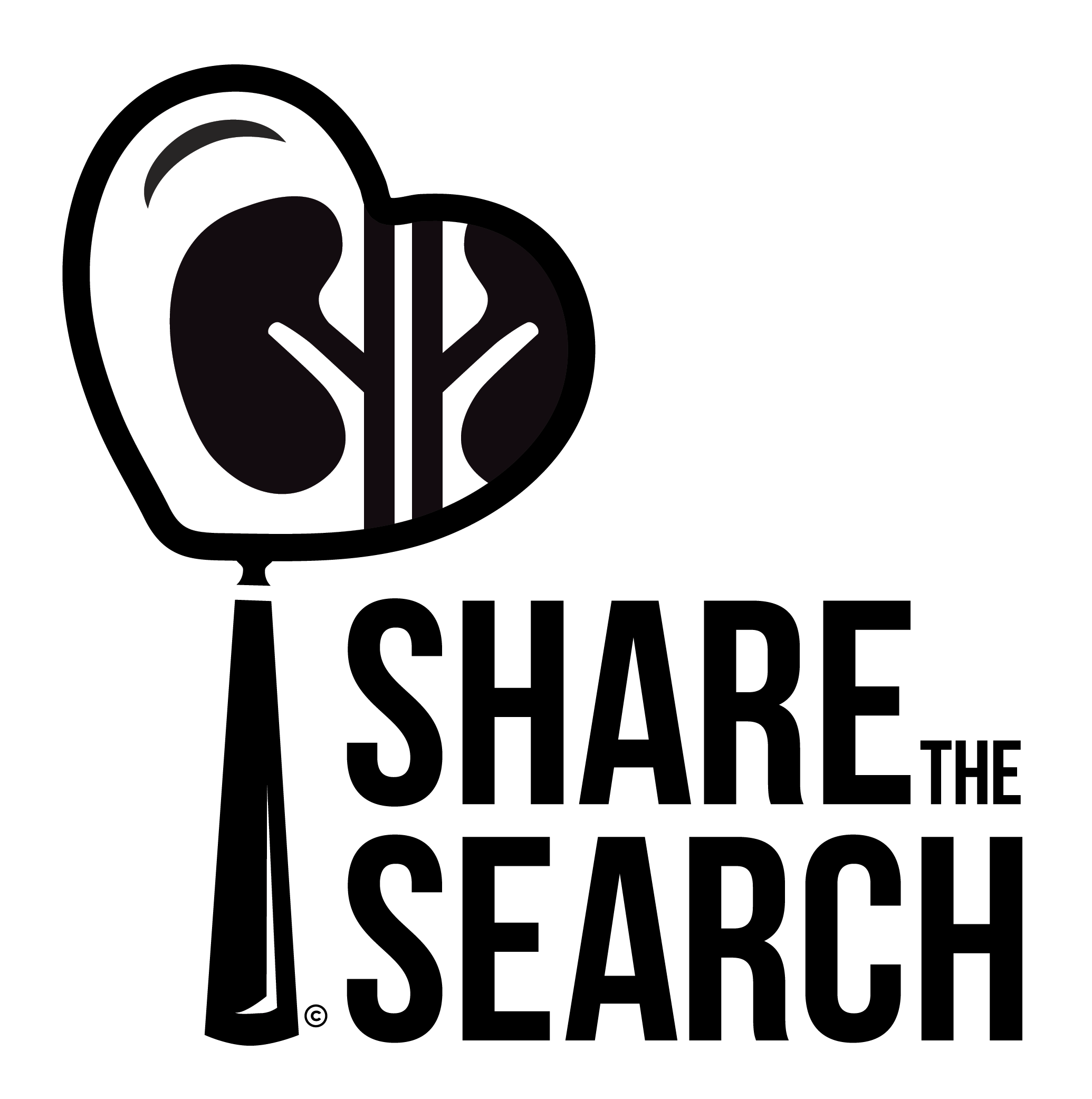 logo-STS-bug-and-text-blk-wht.png
