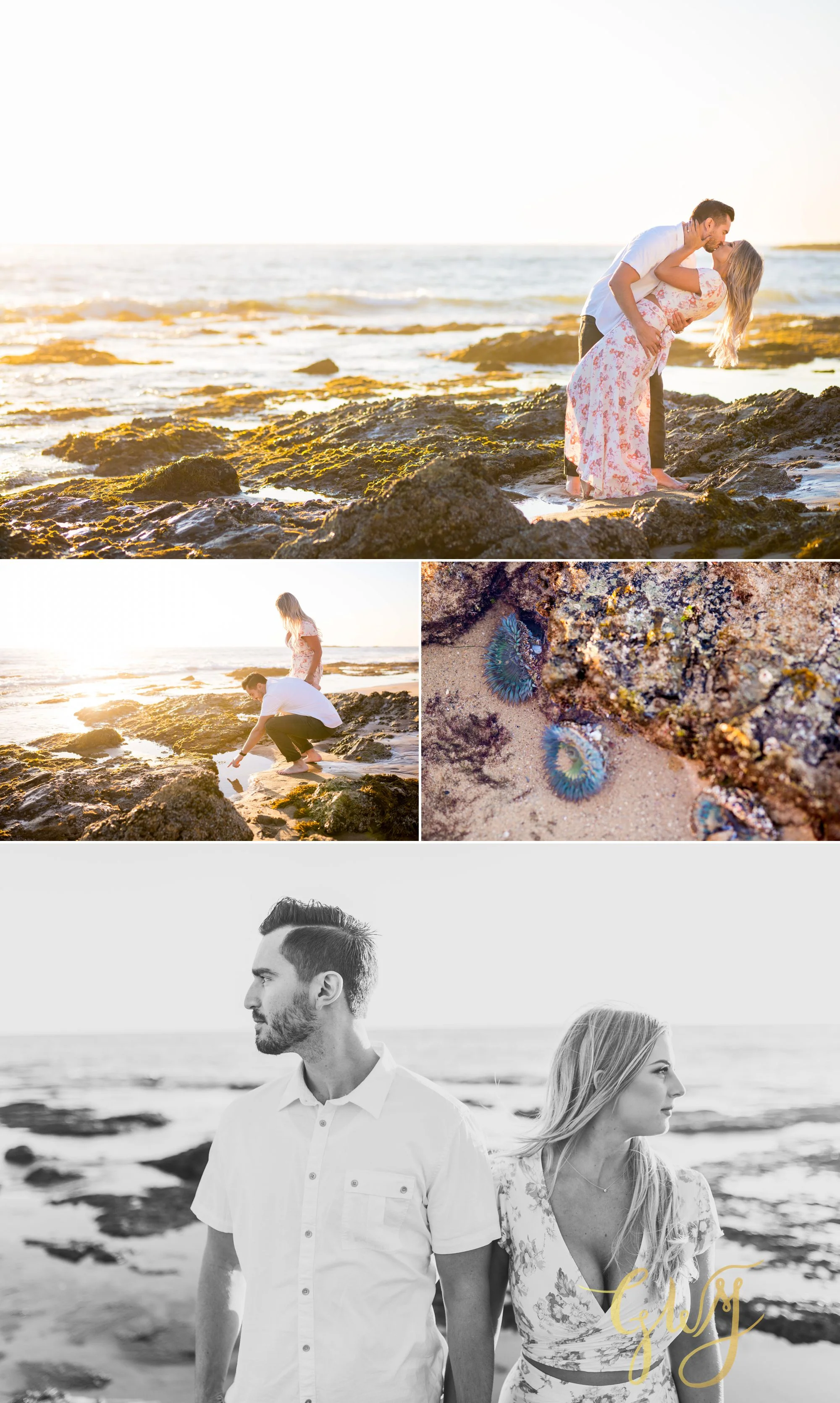 Christien + Crystal Back Bay Newport Crystal Cove Reef Point Sunset Engagement Portrait Session by Glass Woods Media 15.jpg