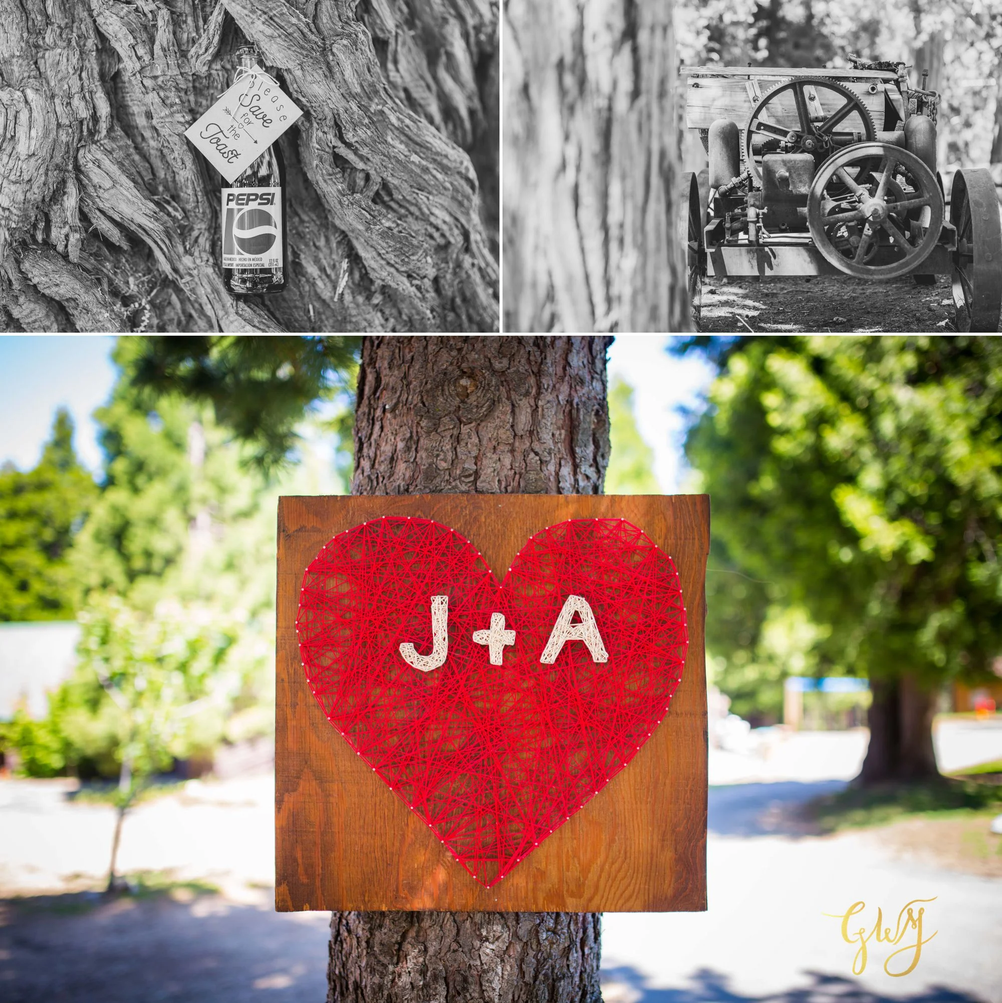 Allison + Jared Southern California Mountain Thousand Pines Christian Camp Wedding by Glass Woods Media 2.jpg