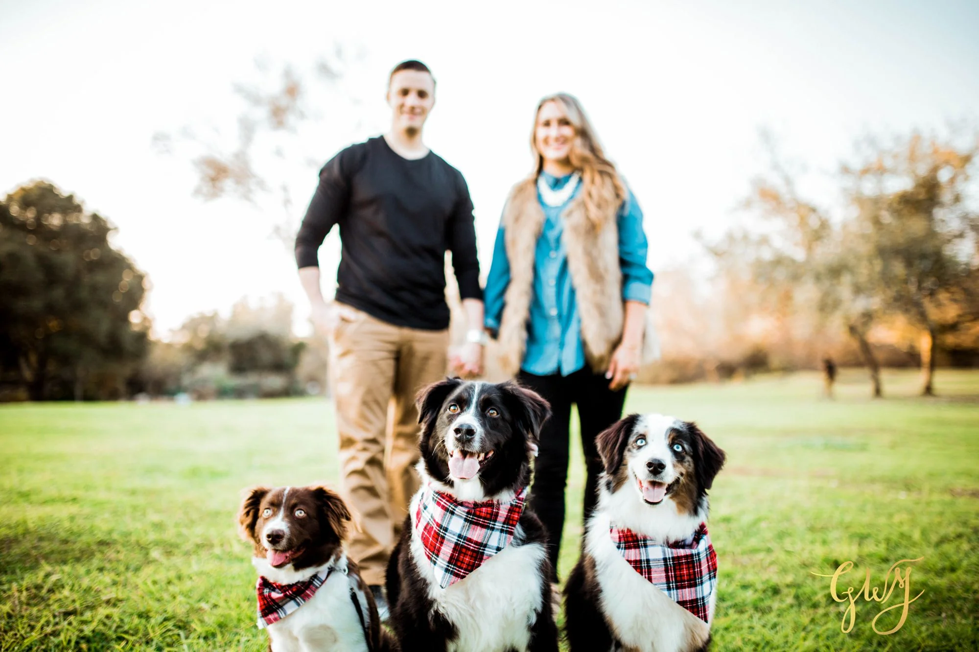 Adams Family Huntington Central Park Australian Shepherd Dogs Puppy Fall Winter Holiday Portrait Mini Session by Glass Woods Media 1.jpg