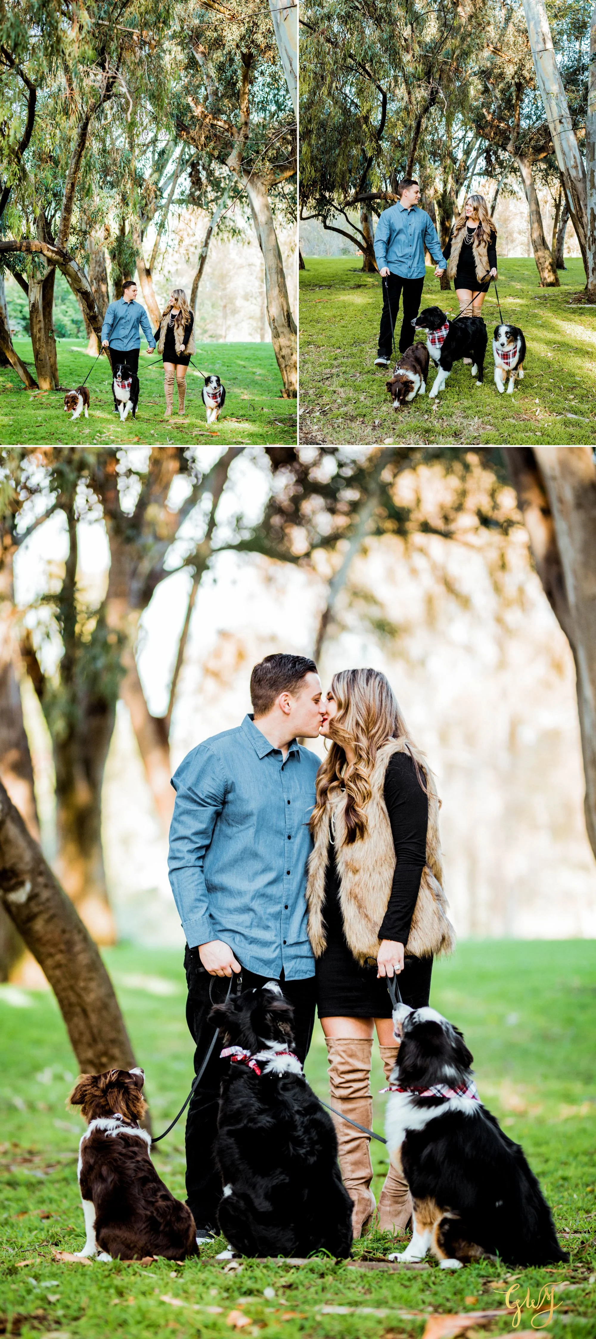 Adams Family Huntington Central Park Australian Shepherd Dogs Puppy Fall Winter Holiday Portrait Mini Session by Glass Woods Media 2.jpg