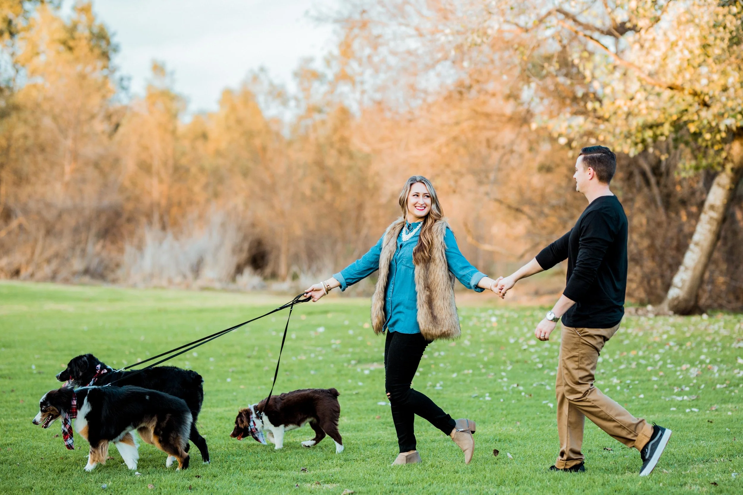 Adams Family Huntington Central Park Australian Shepherd Puppy Holiday Portrait Session