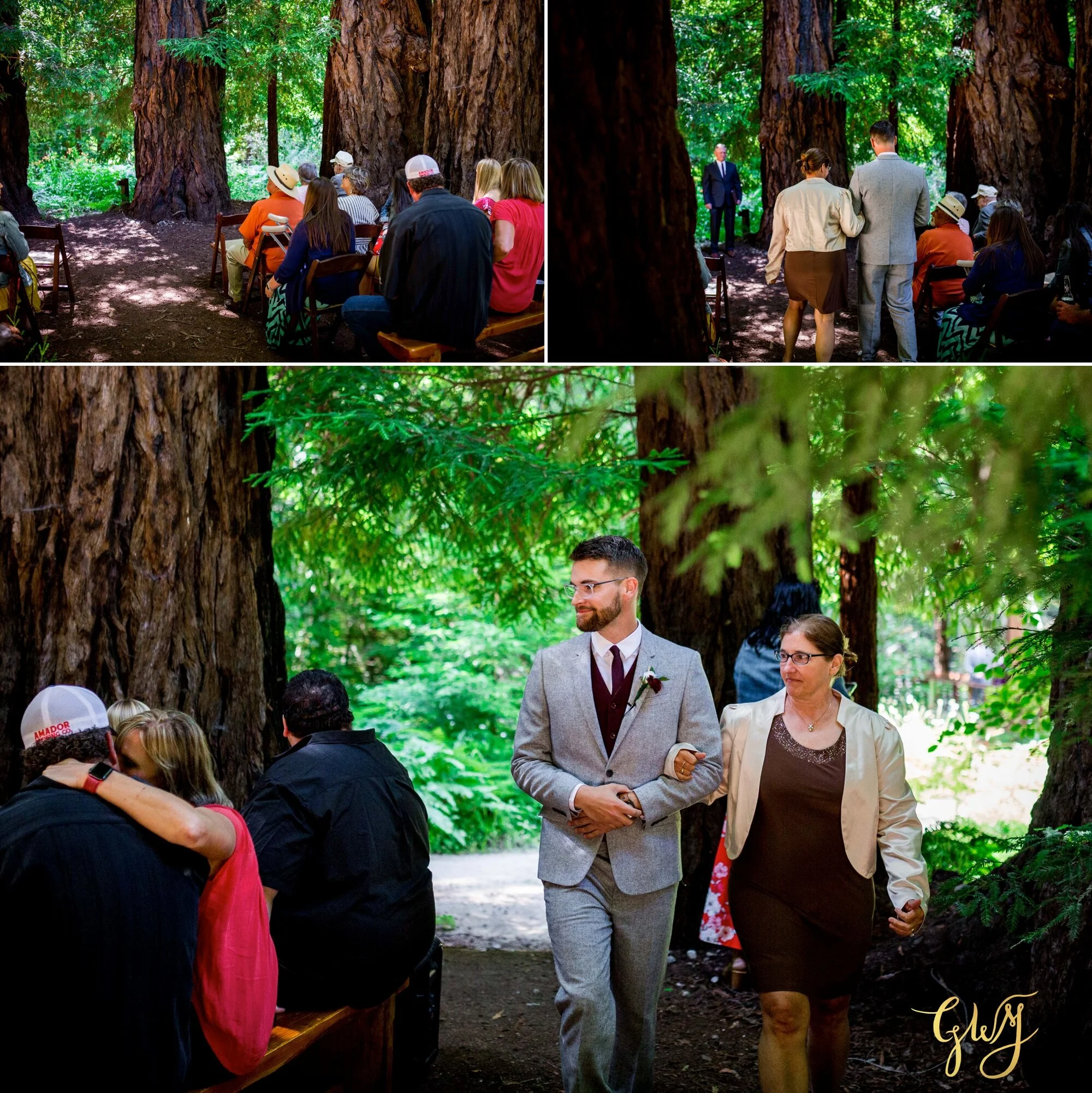 Casey + Jordan's Intimate Big Sur Elopement in the Redwoods by Glass Woods Media 31.jpg