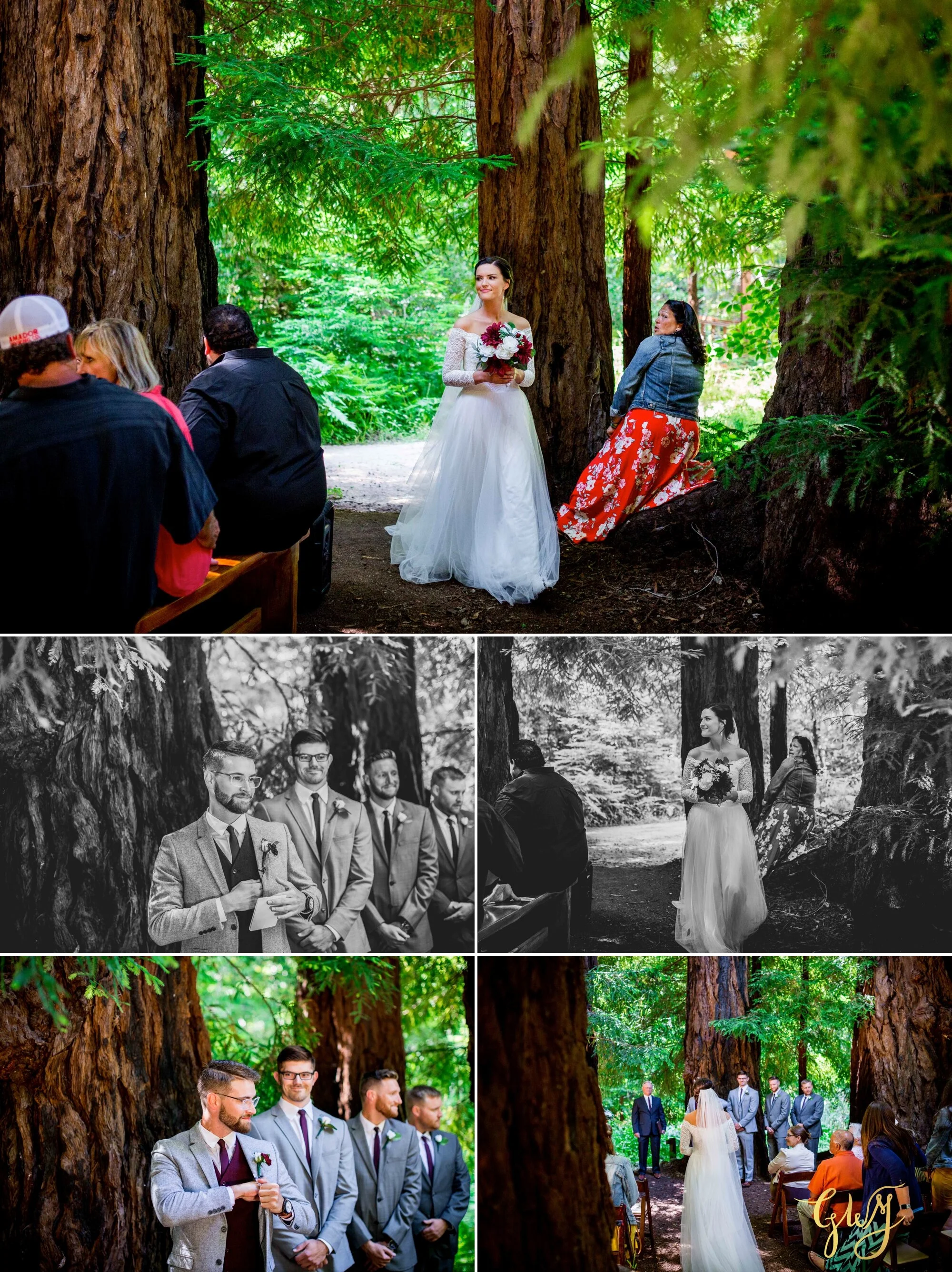 Casey + Jordan's Intimate Big Sur Elopement in the Redwoods by Glass Woods Media 32.jpg