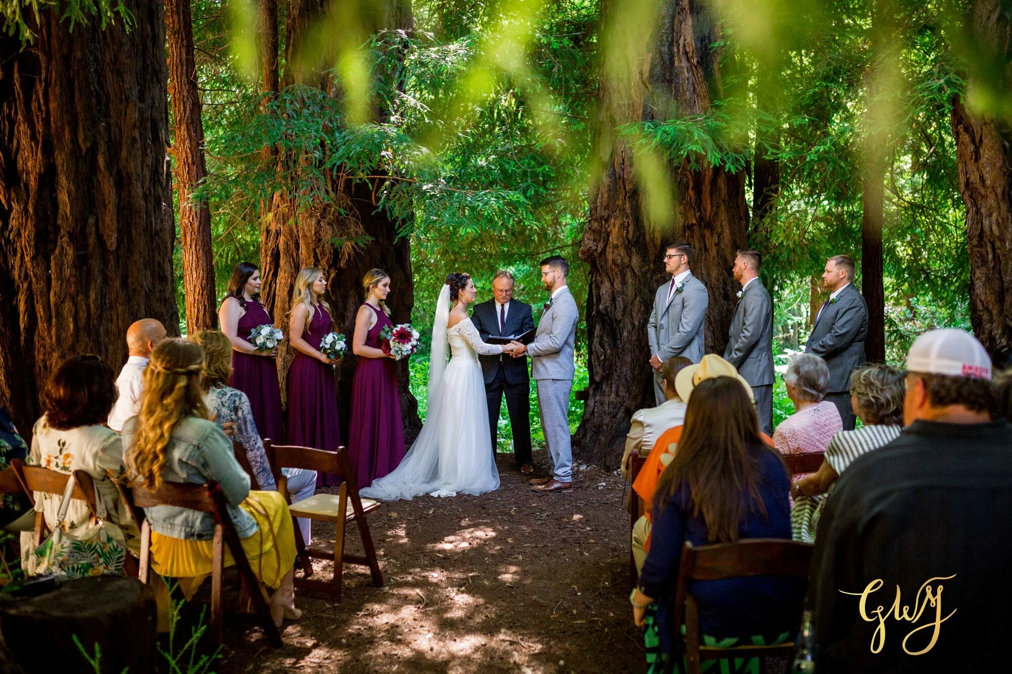 Casey + Jordan's Intimate Big Sur Elopement in the Redwoods by Glass Woods Media 37.jpg