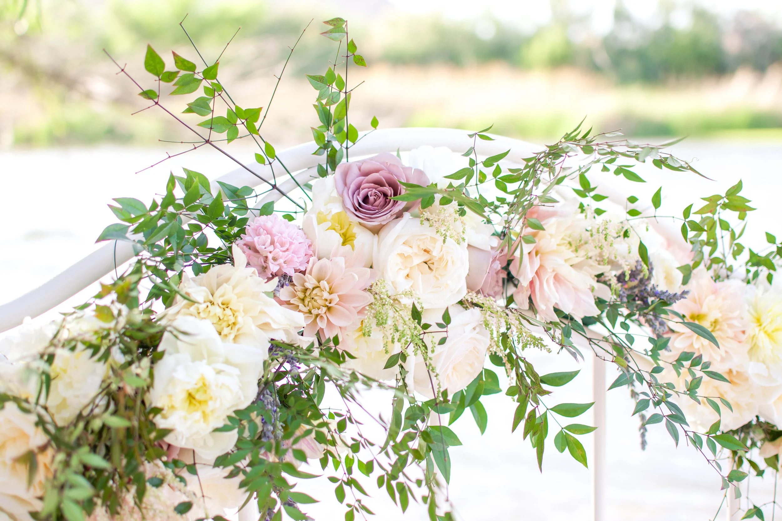 MichelleHoffmanPhotography-2.jpg