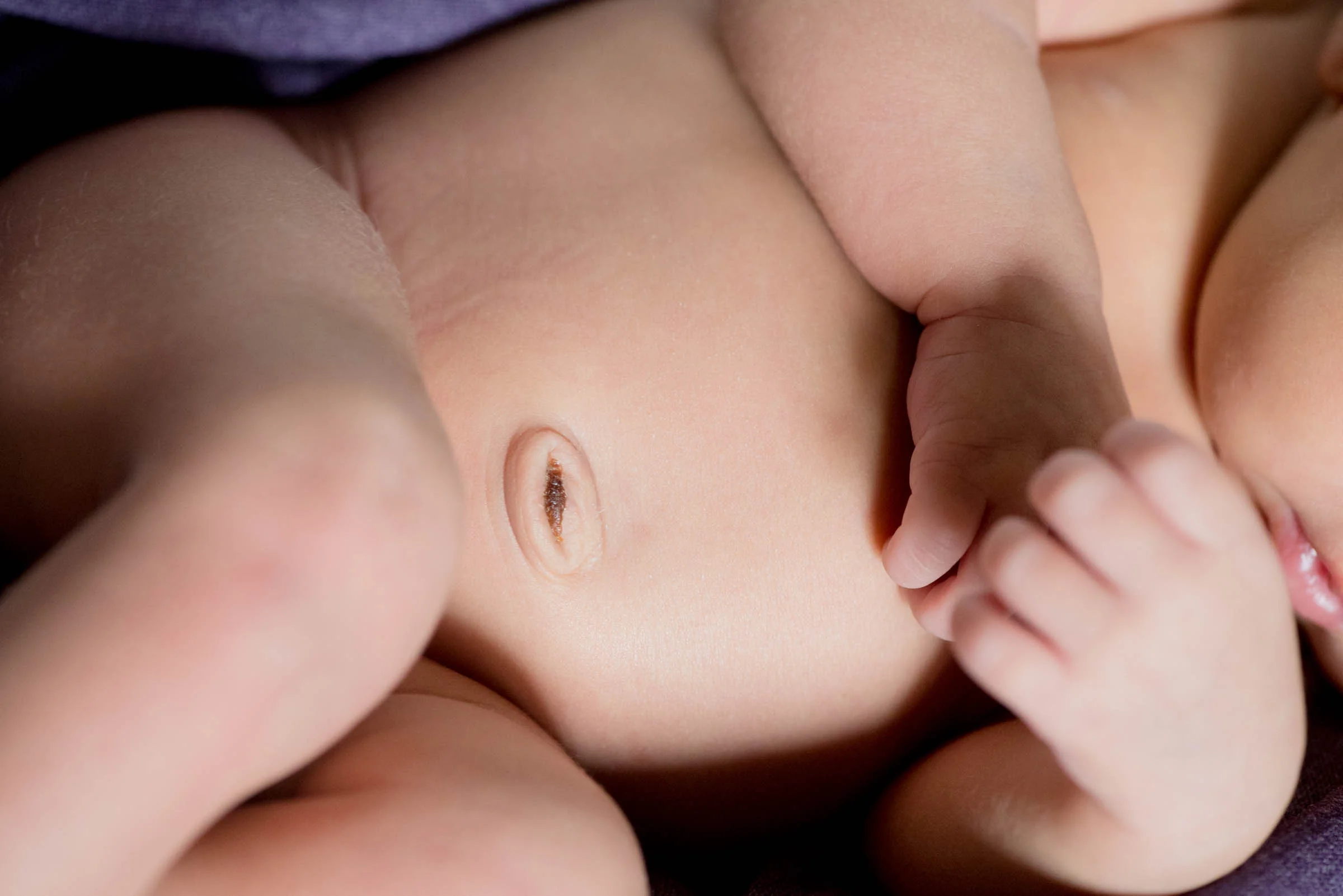 NewbornPhotos-18.jpg