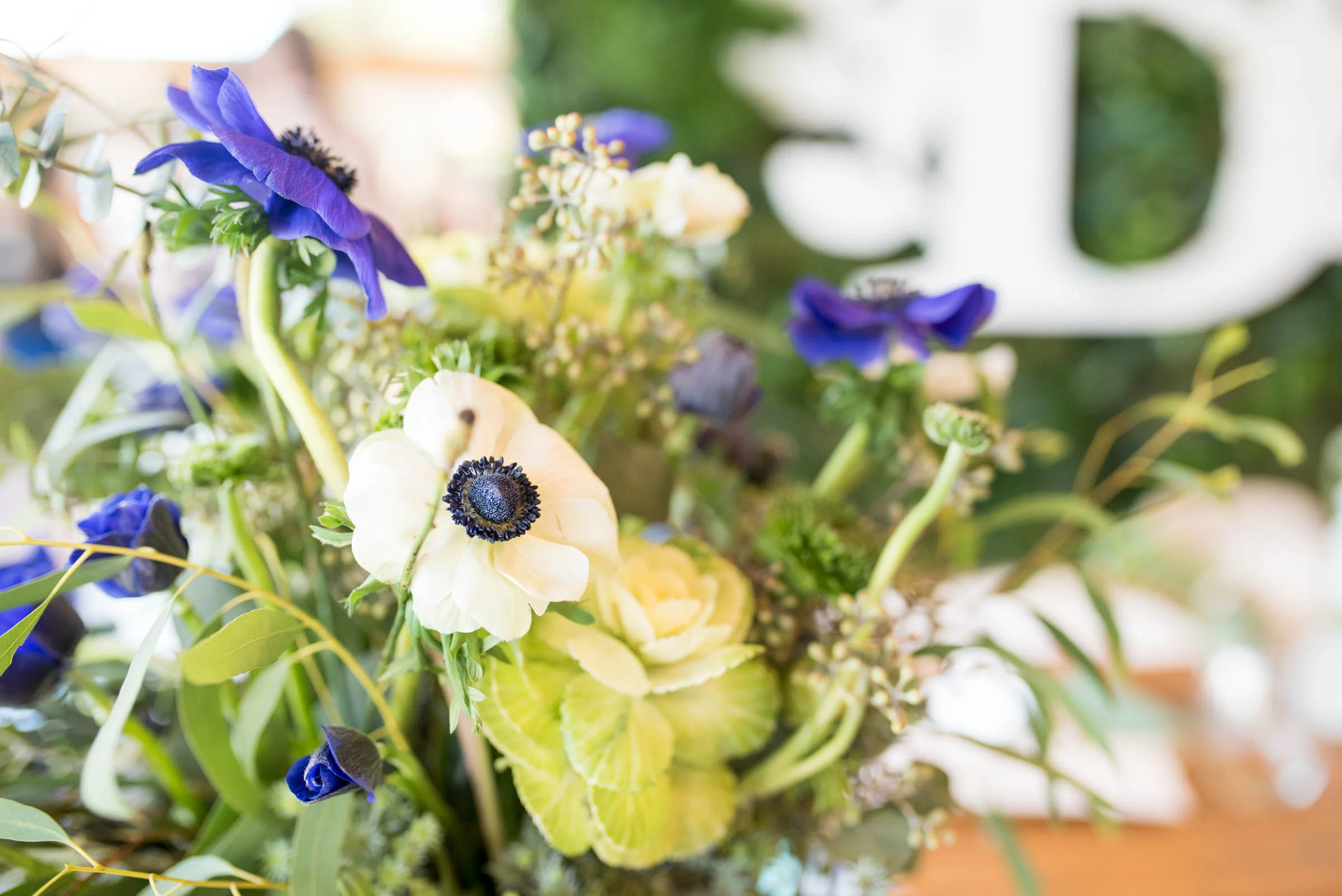 MichelleHoffmanPhotography-4.jpg