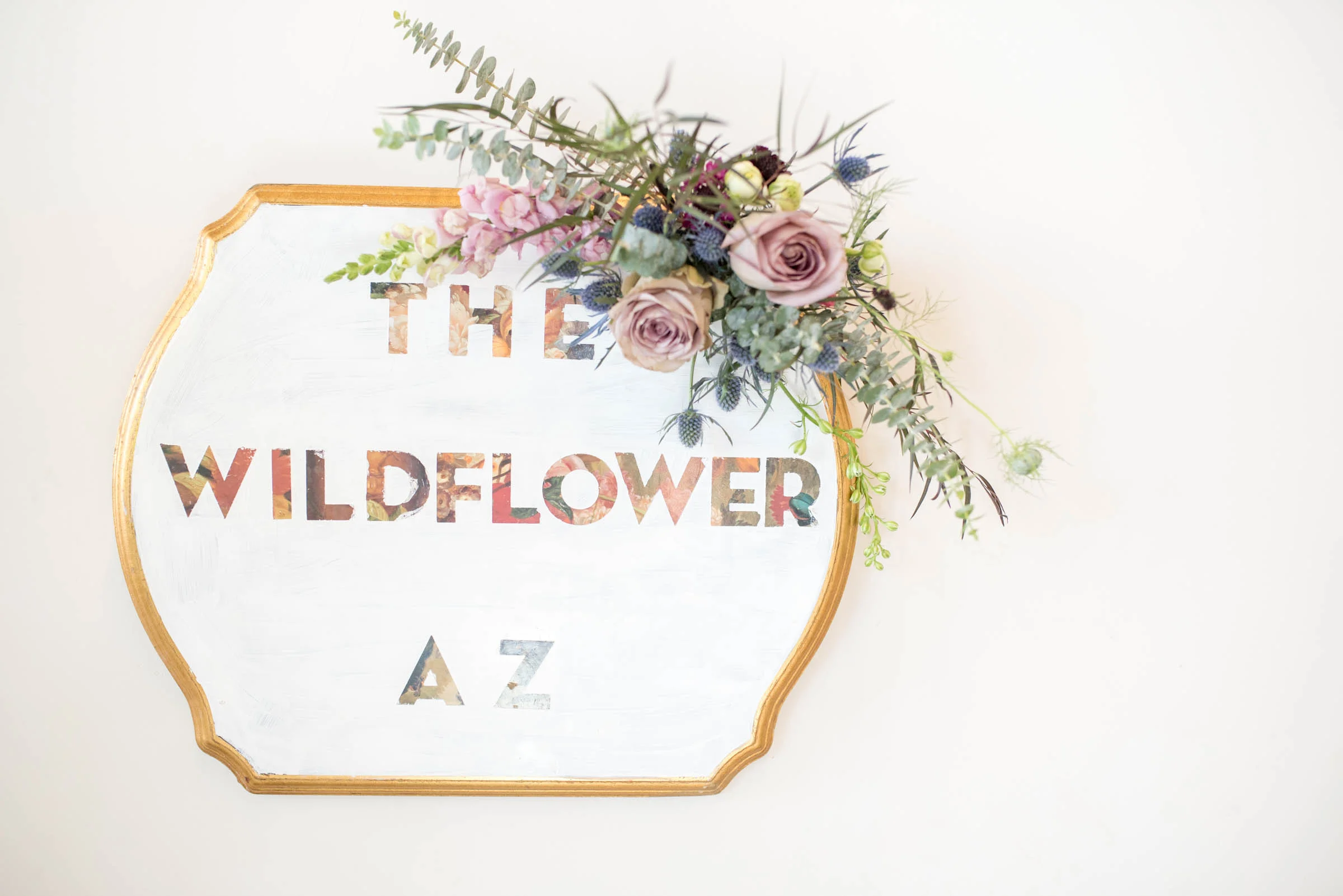 MichelleHoffmanPhotography-22.jpg