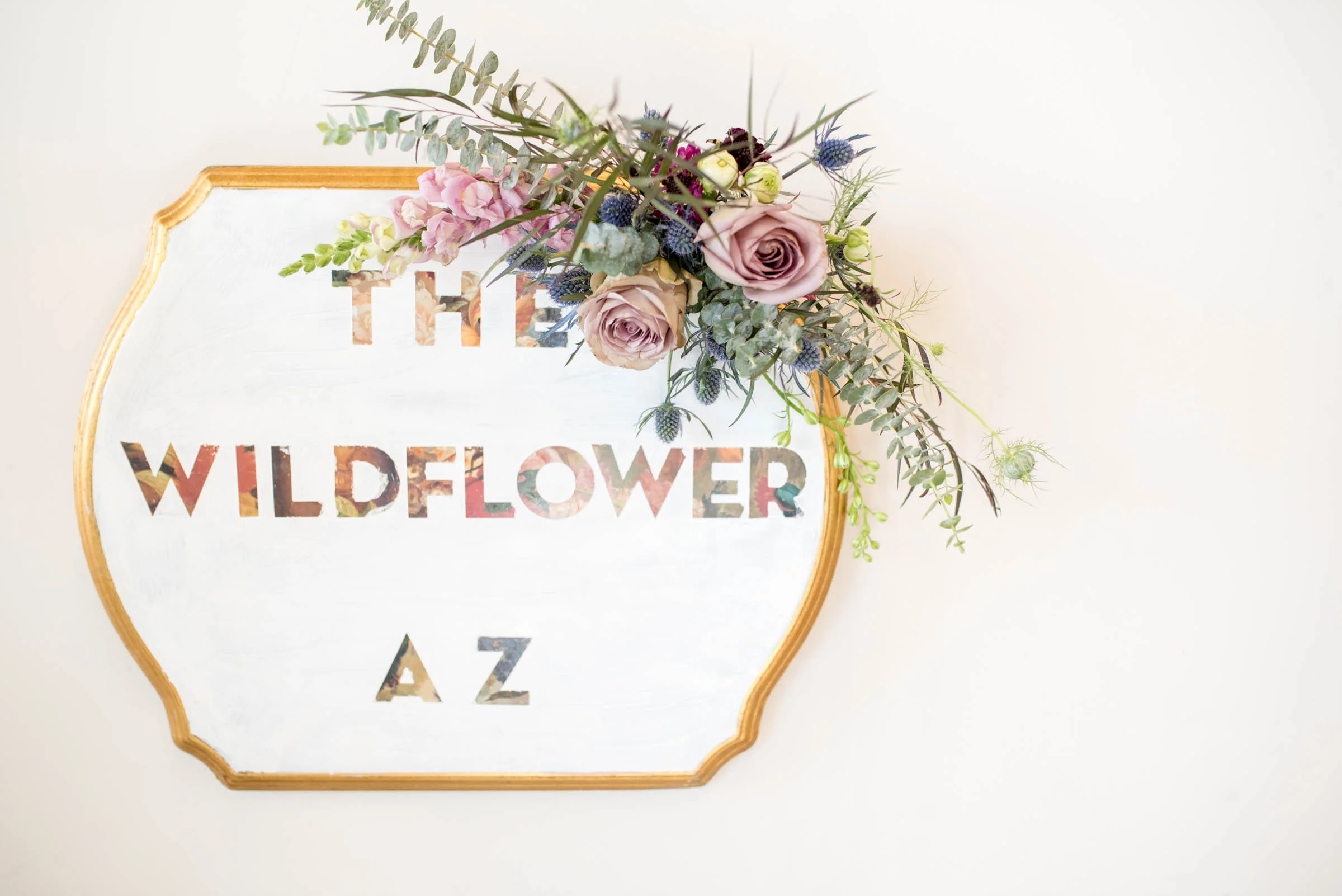 MichelleHoffmanPhotography-23.jpg