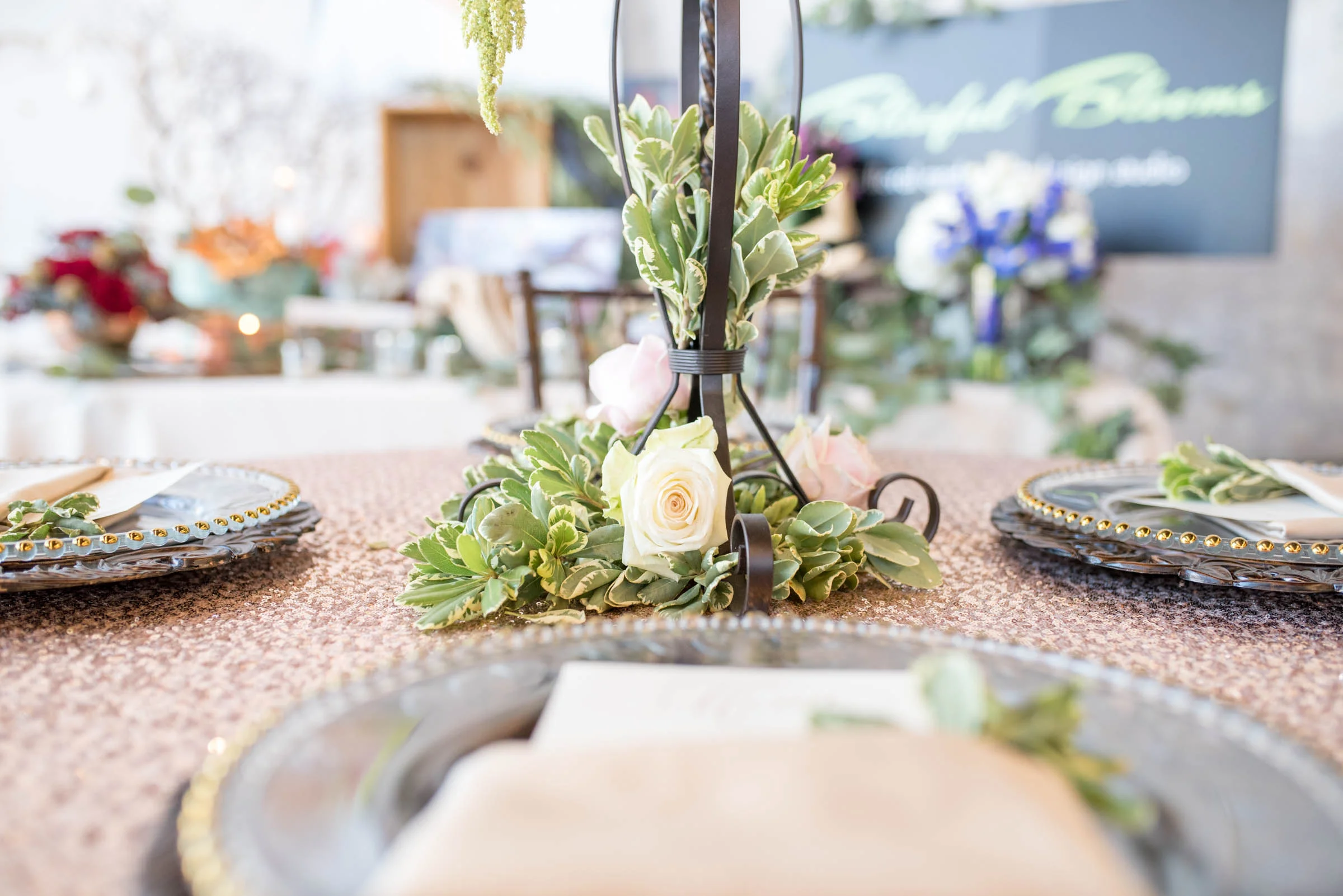 MichelleHoffmanPhotography-83.jpg