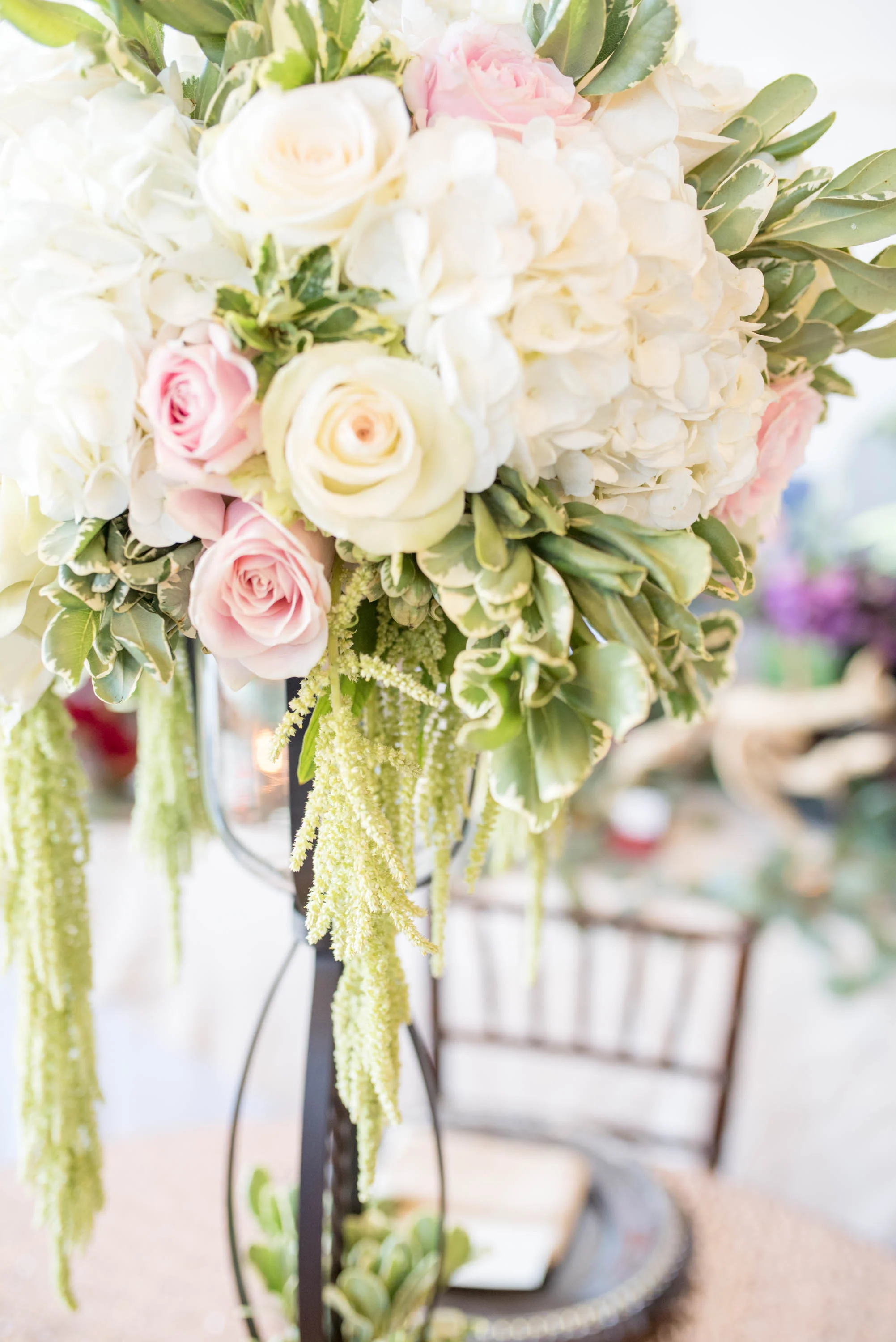 MichelleHoffmanPhotography-85.jpg