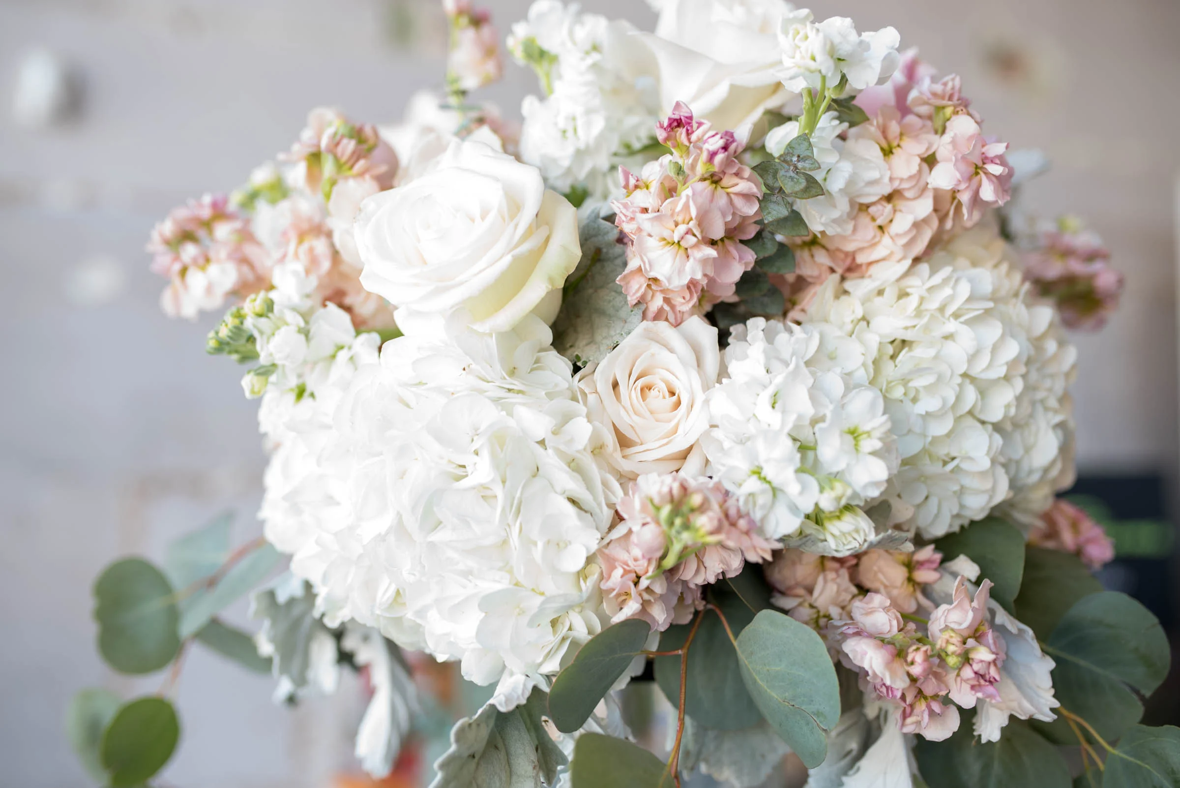 MichelleHoffmanPhotography-96.jpg
