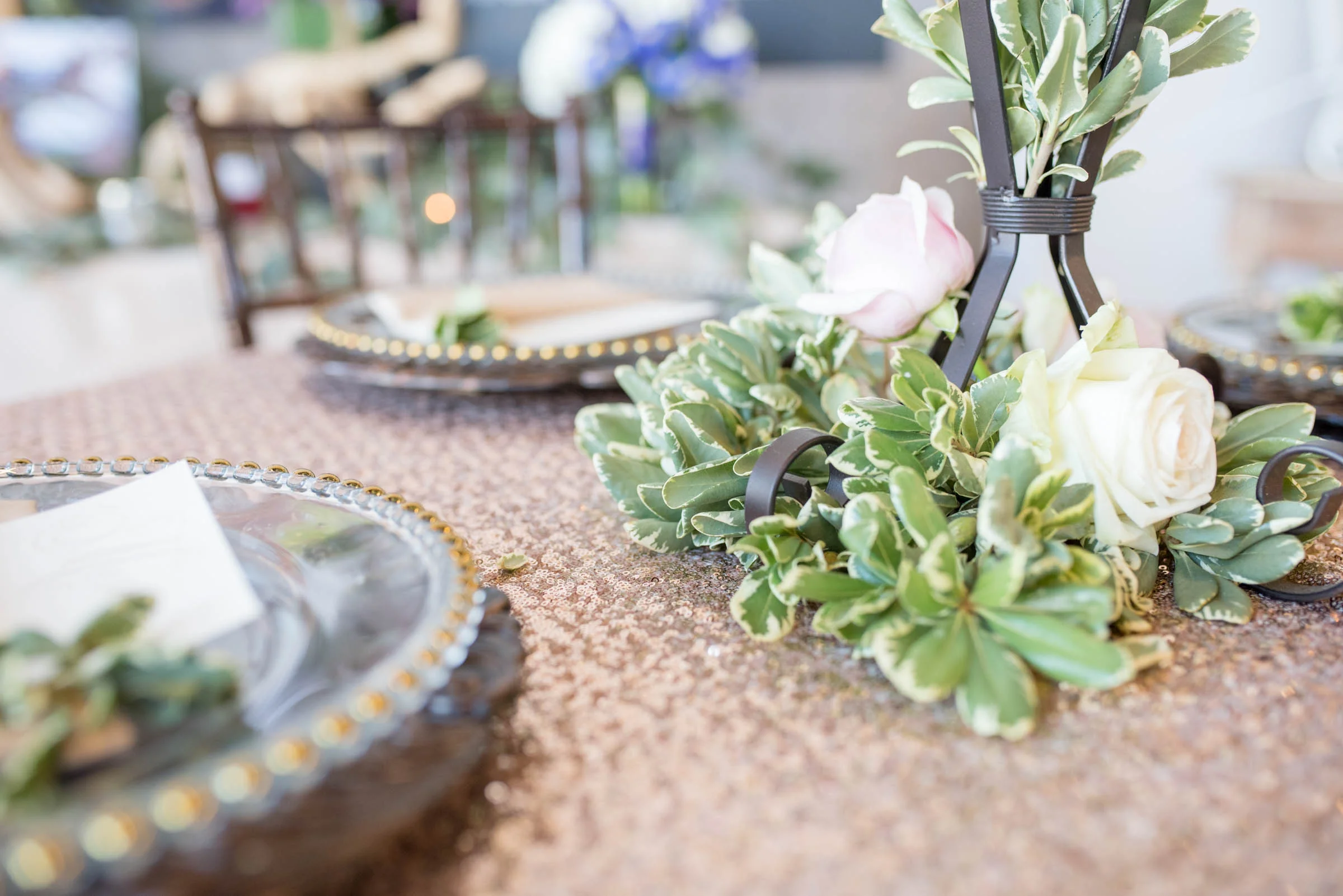 MichelleHoffmanPhotography-89.jpg