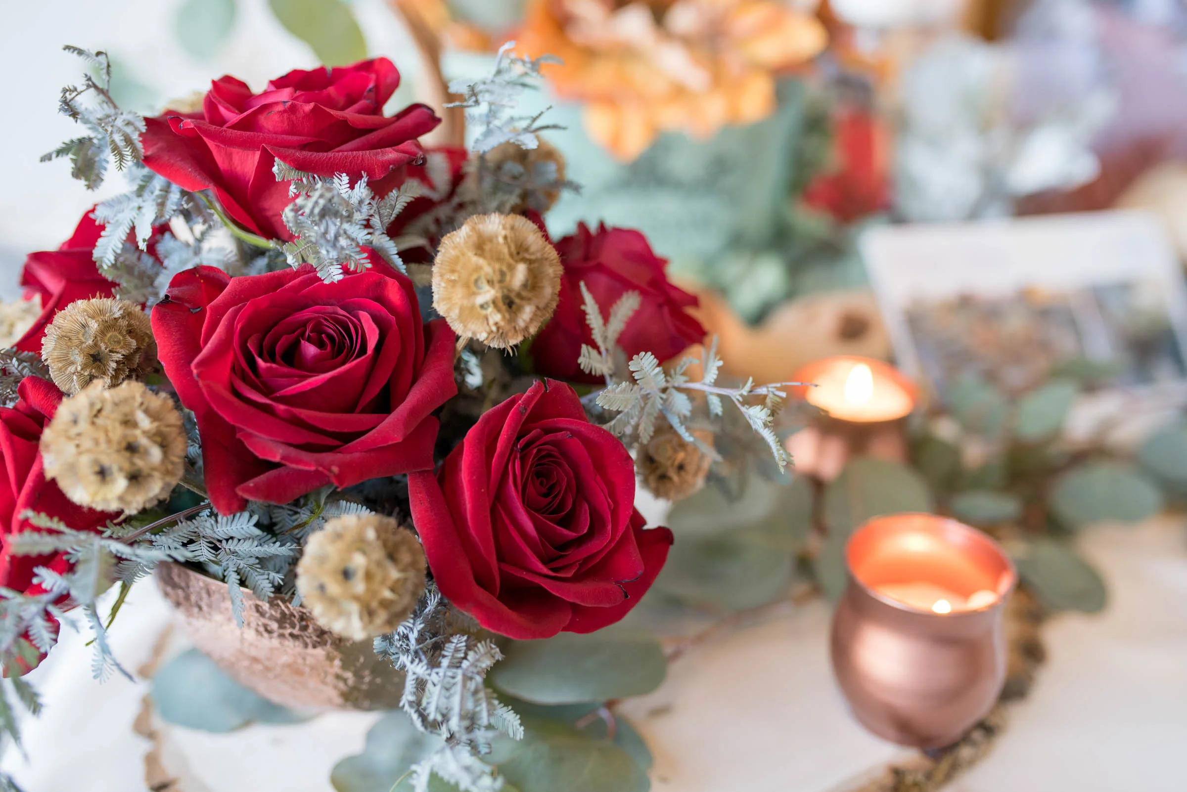 MichelleHoffmanPhotography-92.jpg