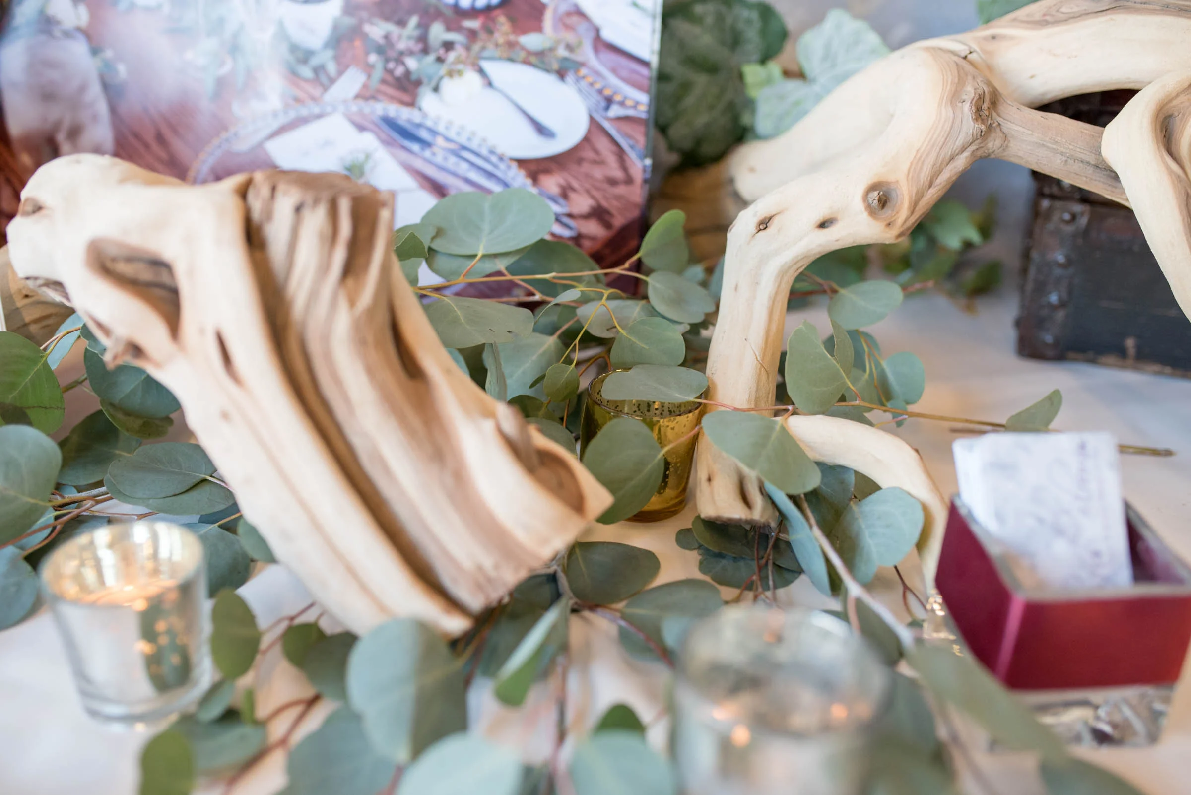 MichelleHoffmanPhotography-93.jpg