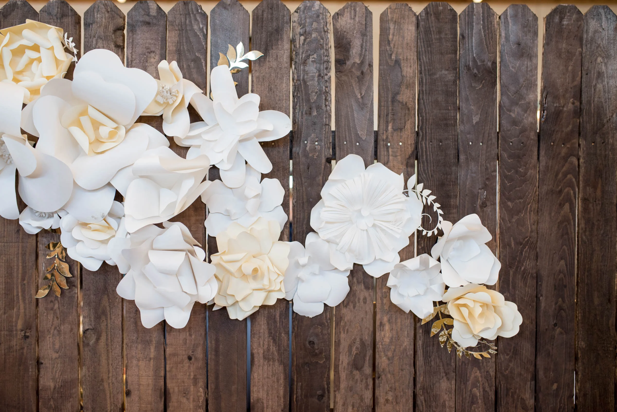 MichelleHoffmanPhotography-110.jpg