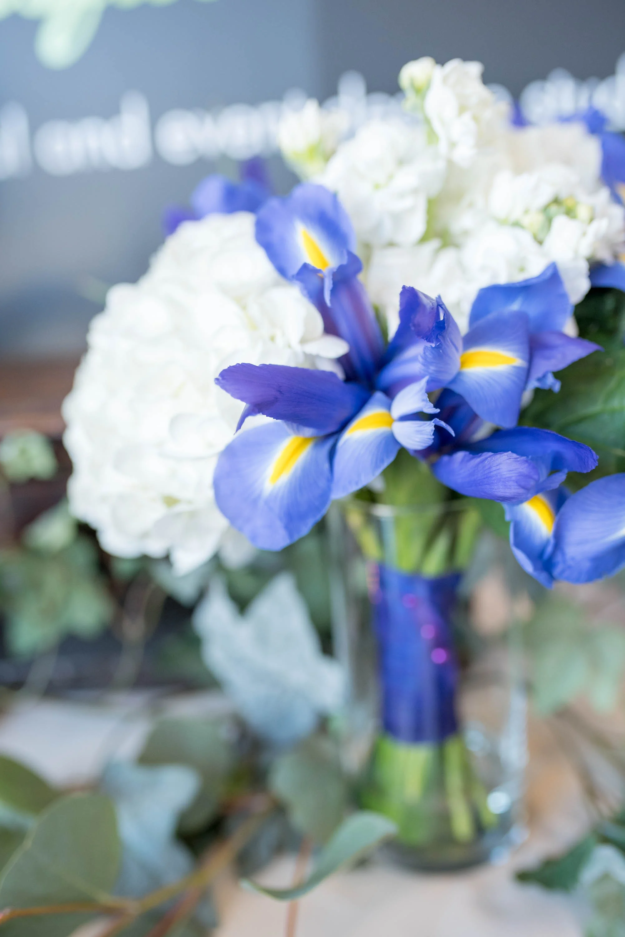 MichelleHoffmanPhotography-97.jpg