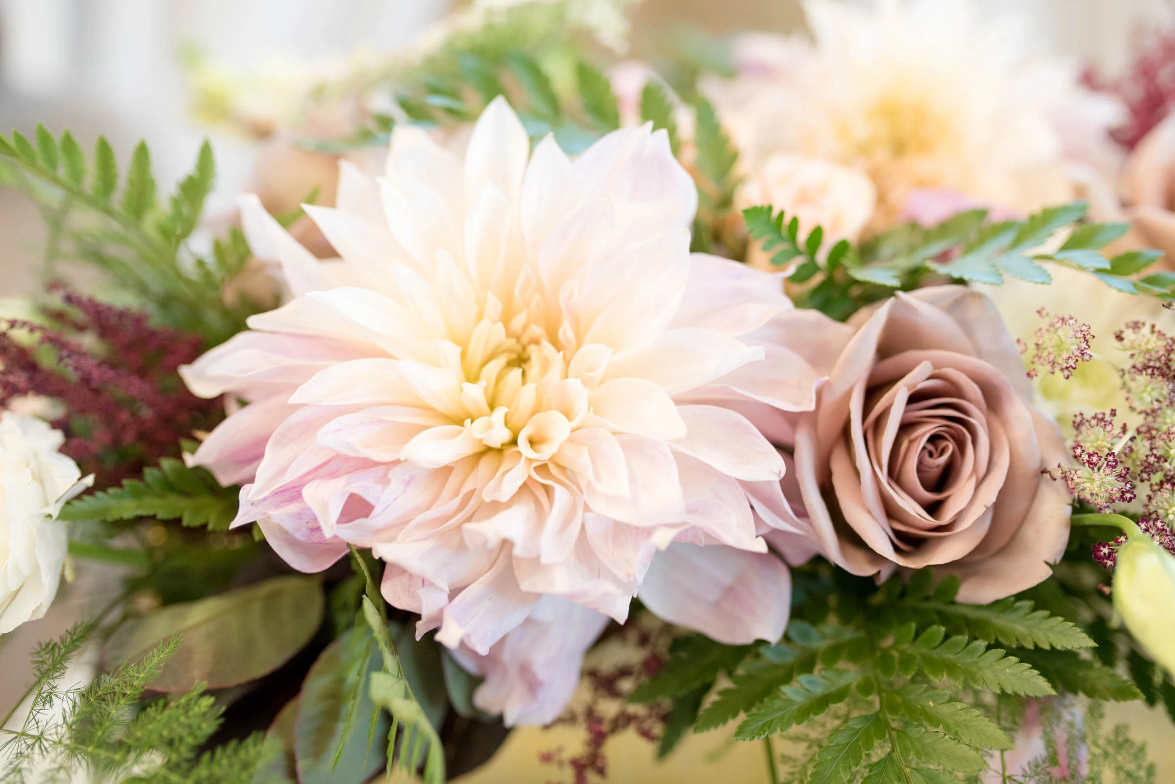MichelleHoffmanPhotography-114.jpg