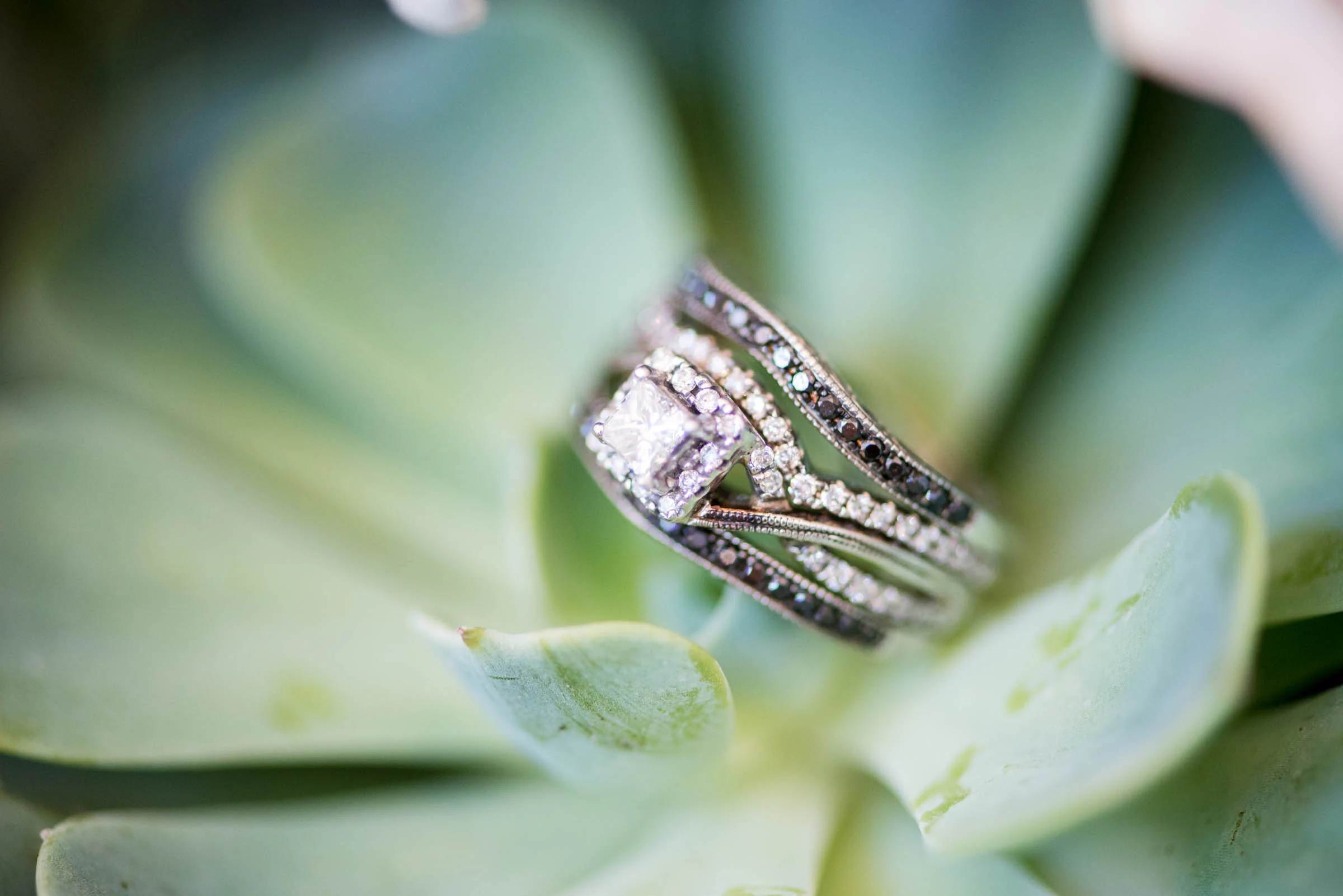 WestbyWedding-641.jpg