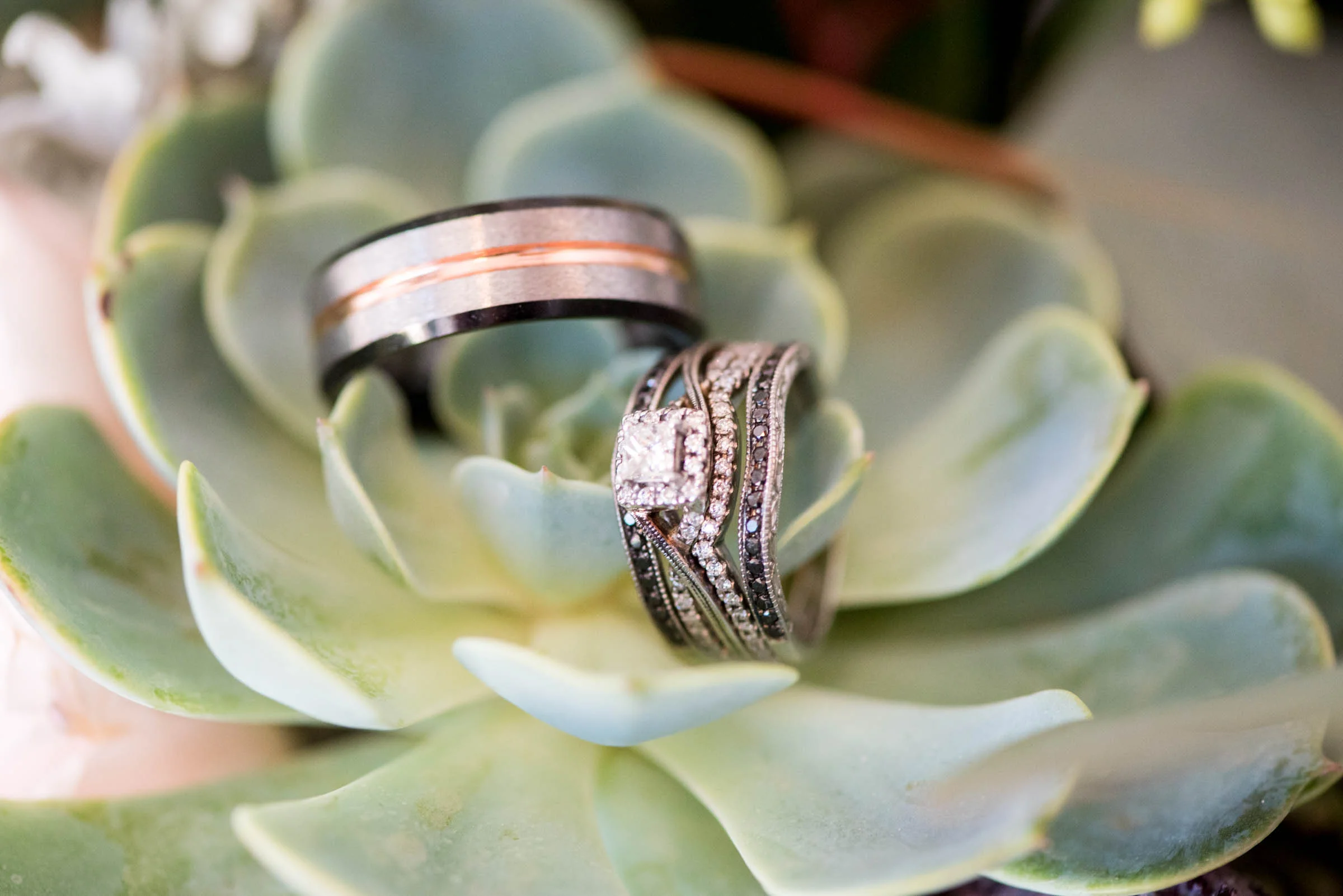 WestbyWedding-647.jpg