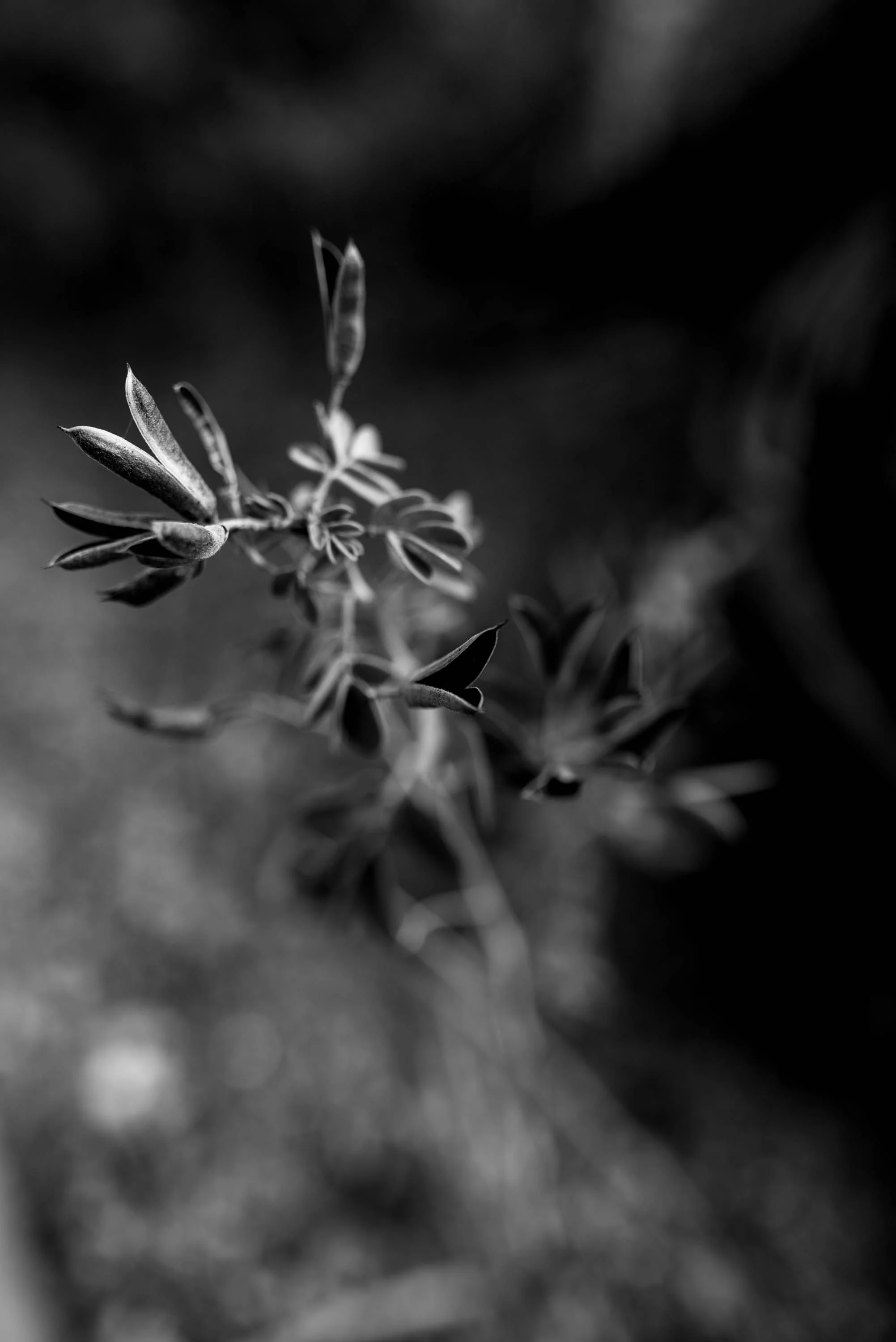 Michellehoffmanphotography-13.jpg