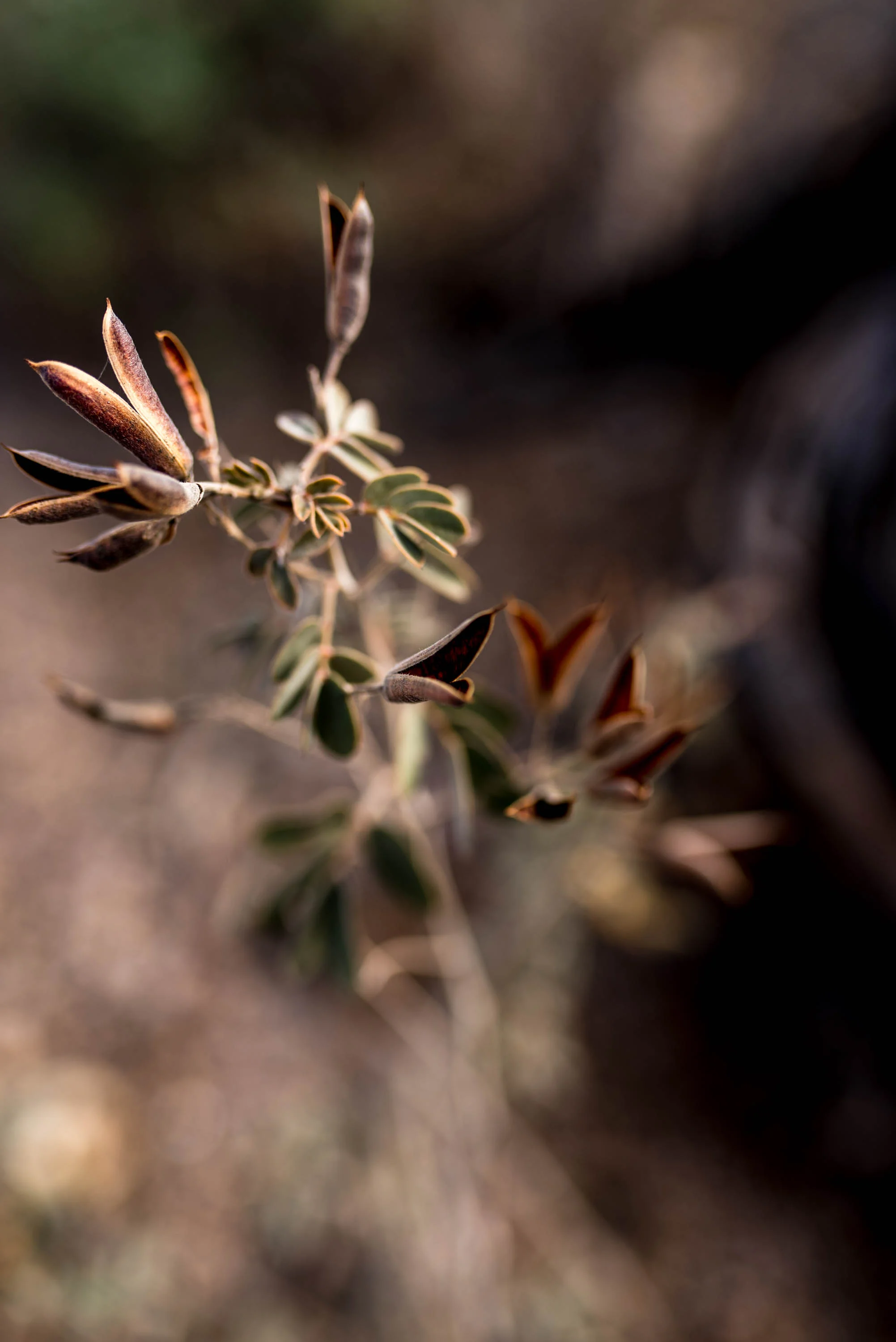 Michellehoffmanphotography-14.jpg