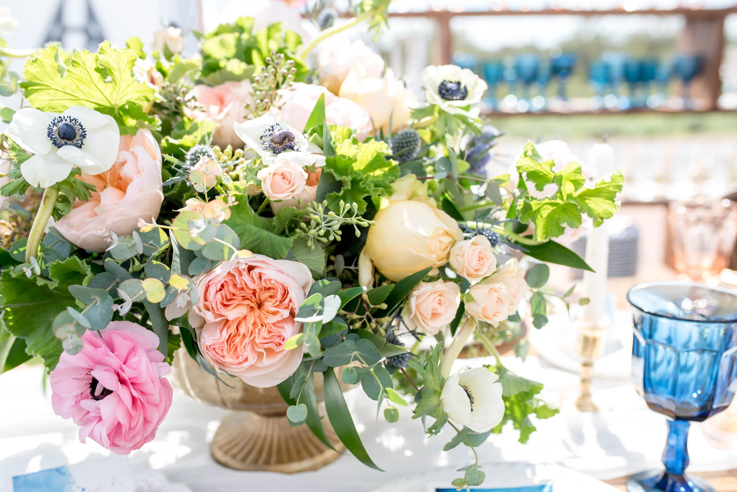 Michellehoffmanphotography-34.jpg