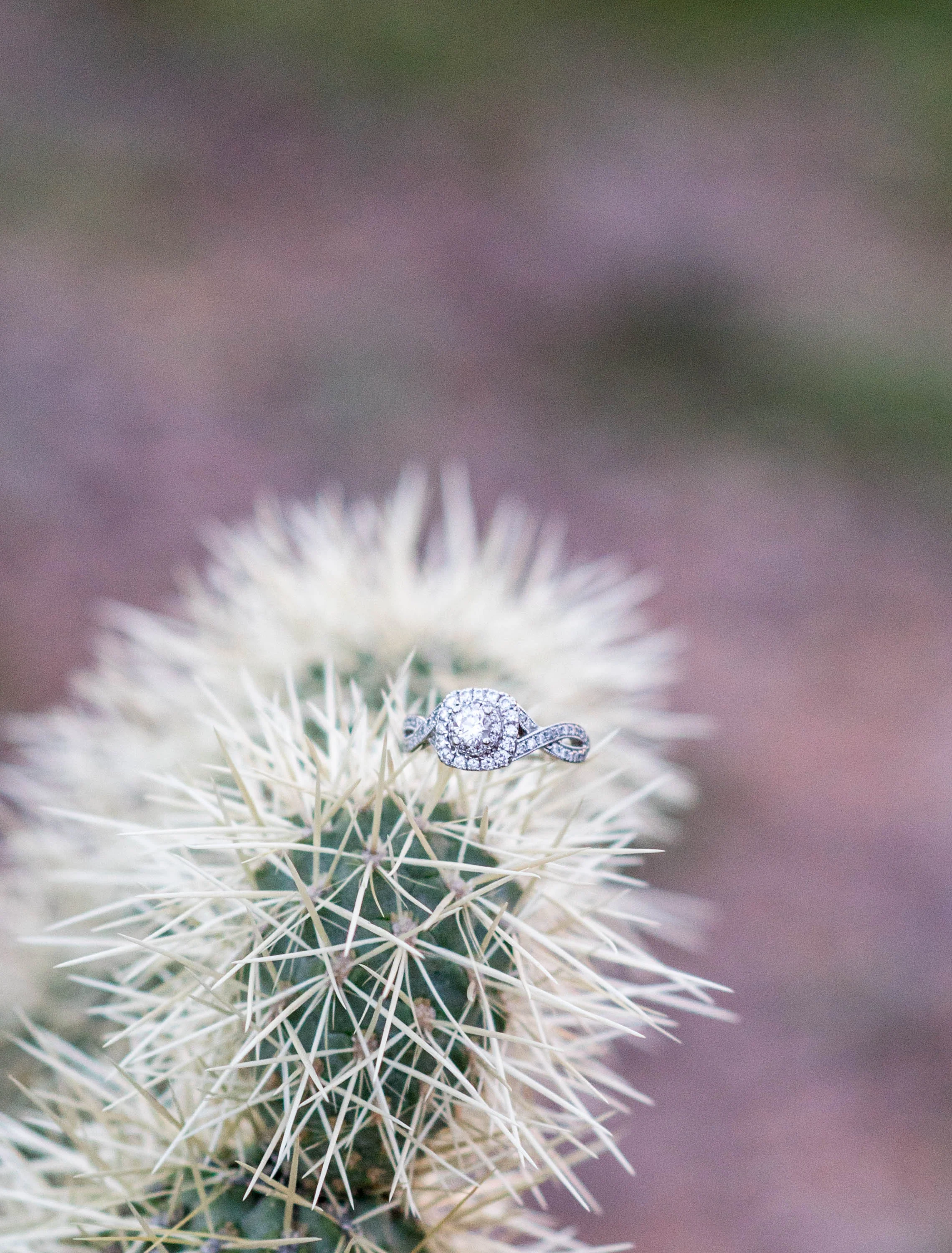 Michellehoffmanphotography-227.jpg