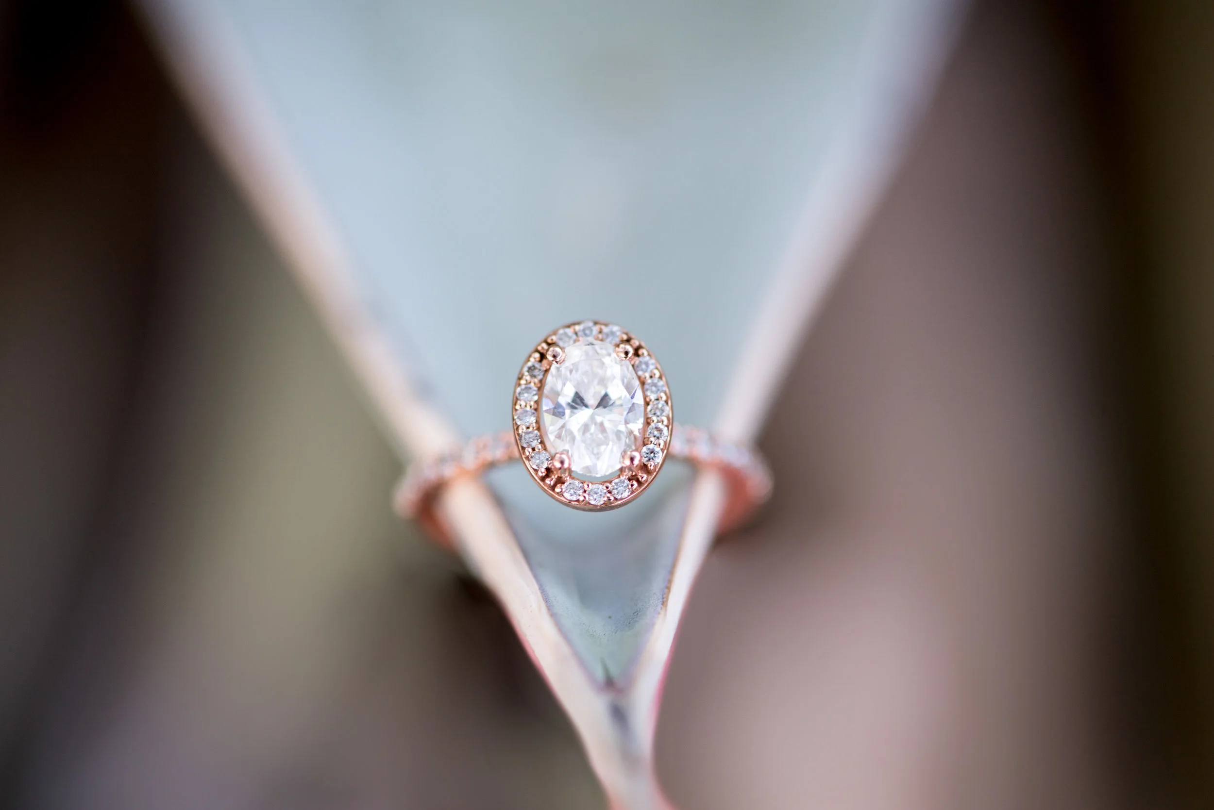 Phoenix arizona weddingphotographer