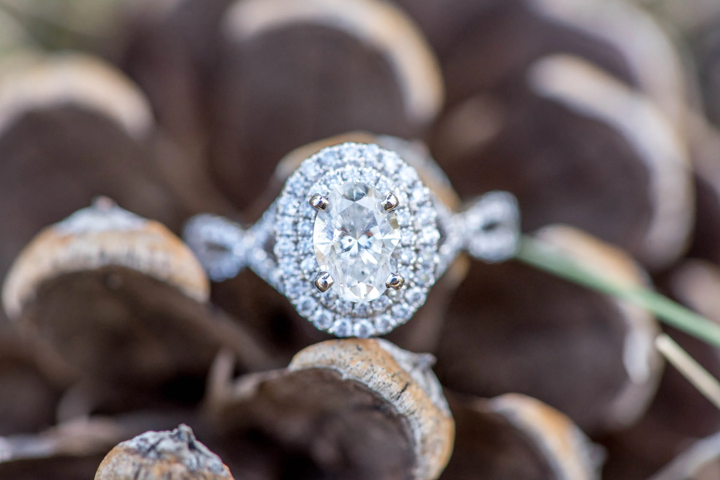 Flagstaff arizona wedding photographer