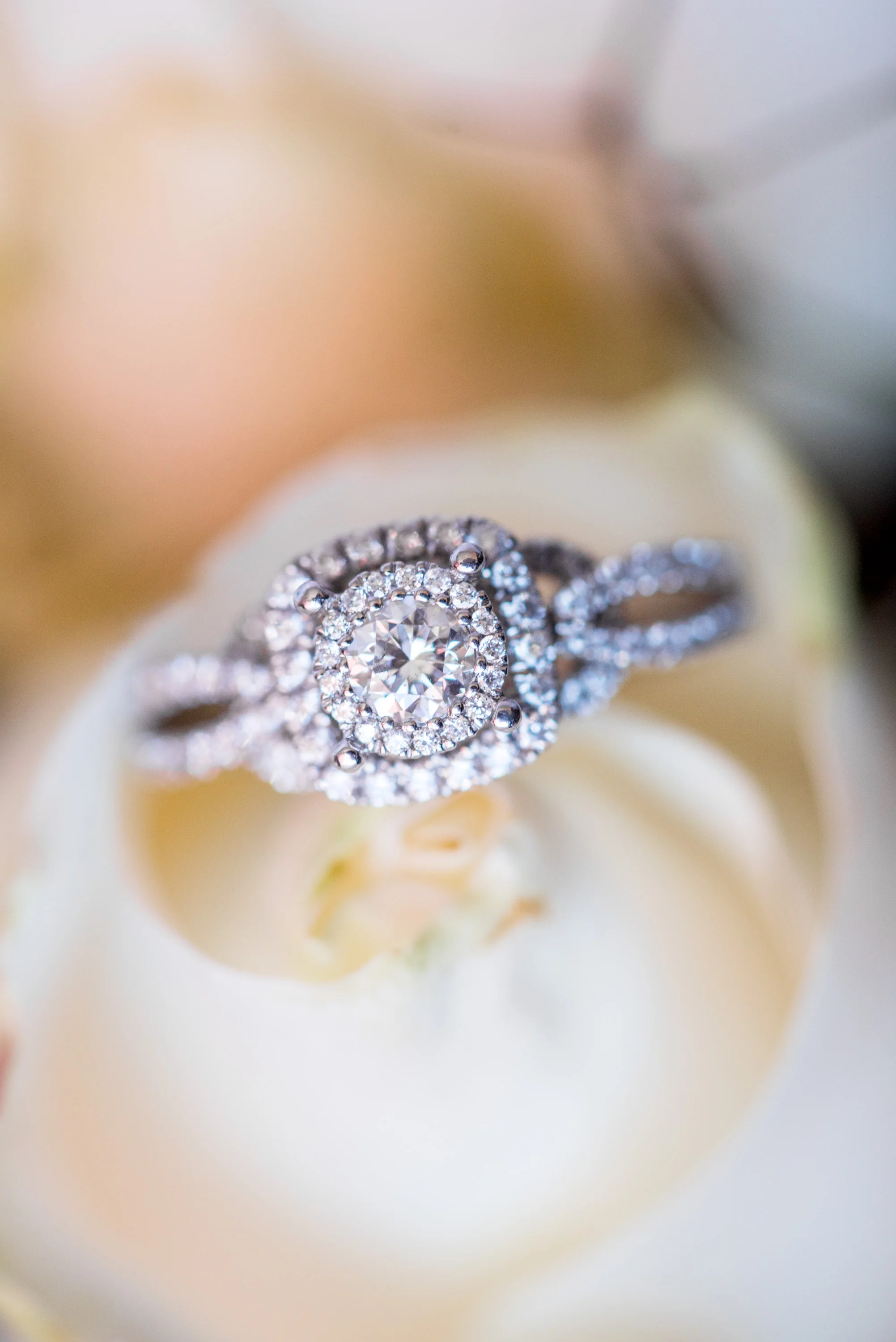 Phoenix Arizona Wedding photographer
