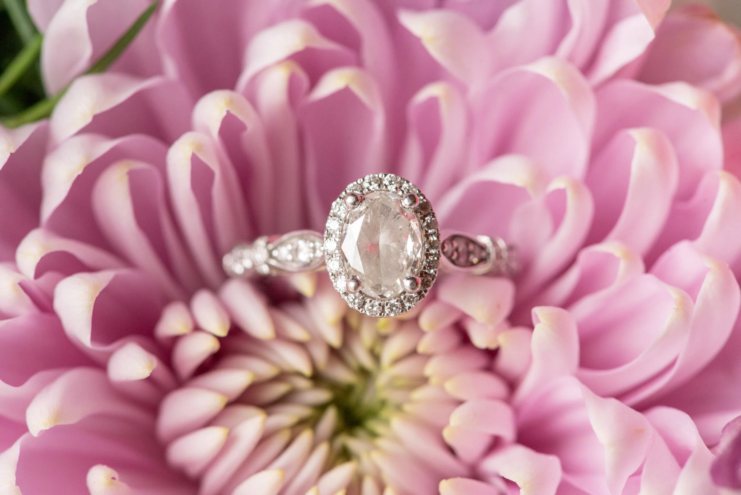 MichelleTerryWedding-46.jpg