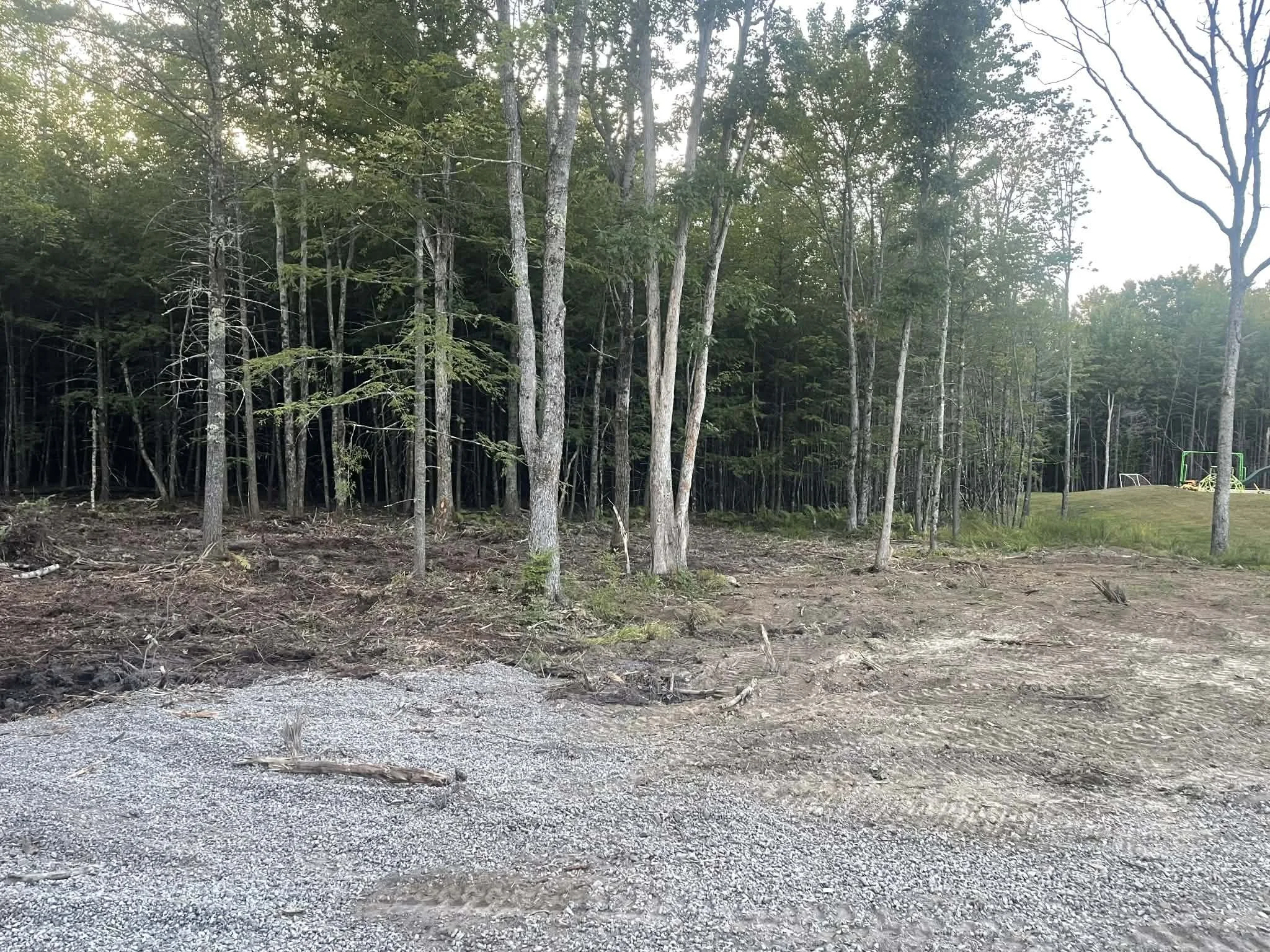 48c246f6-ffeb-46e5-b78d-579d566bd826 (1).jpeg