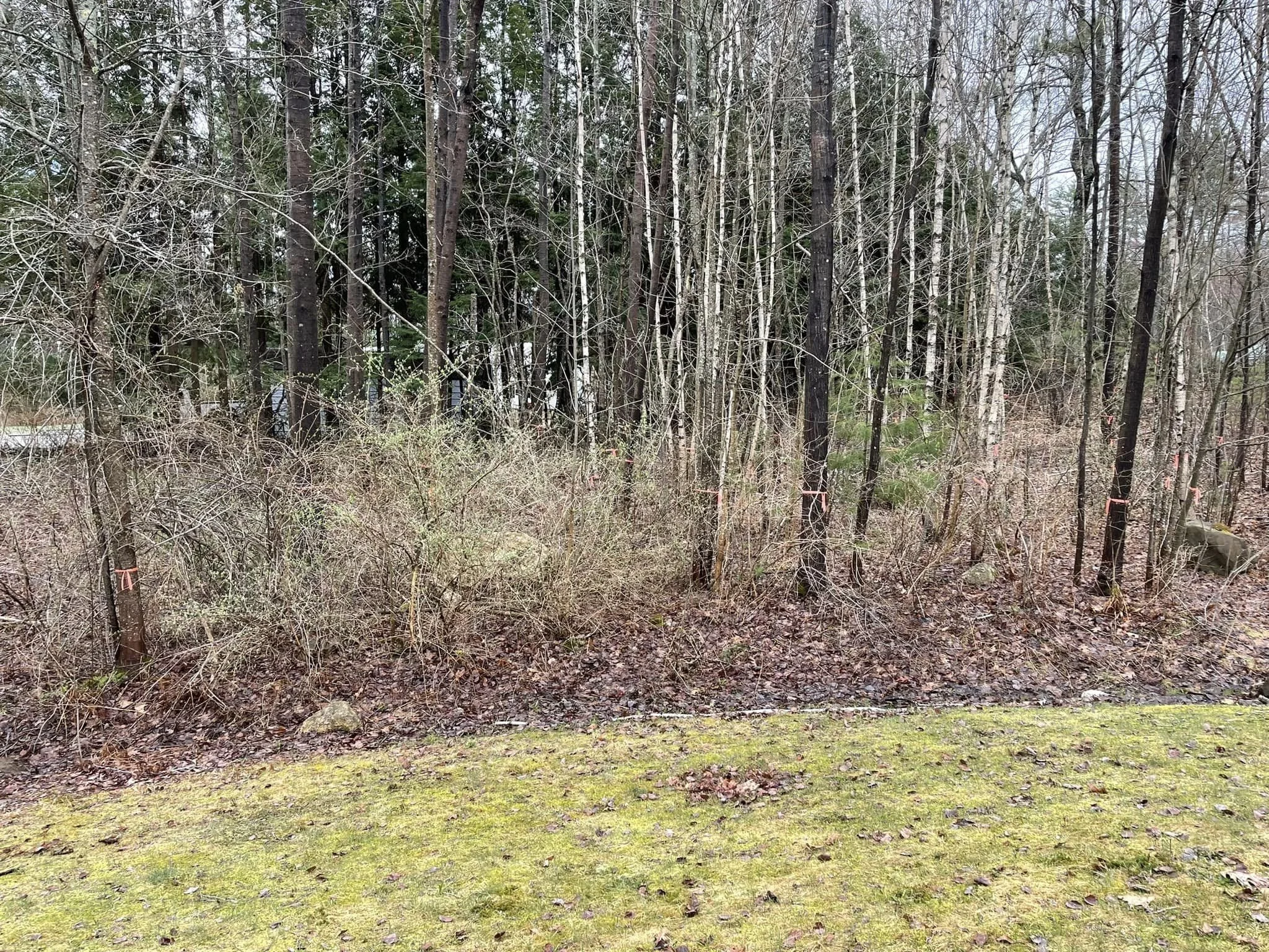 337877717_129303770059360_8065637968628321158_n (1).jpg