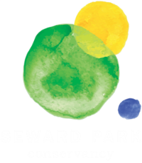 Seward Park Conservancy