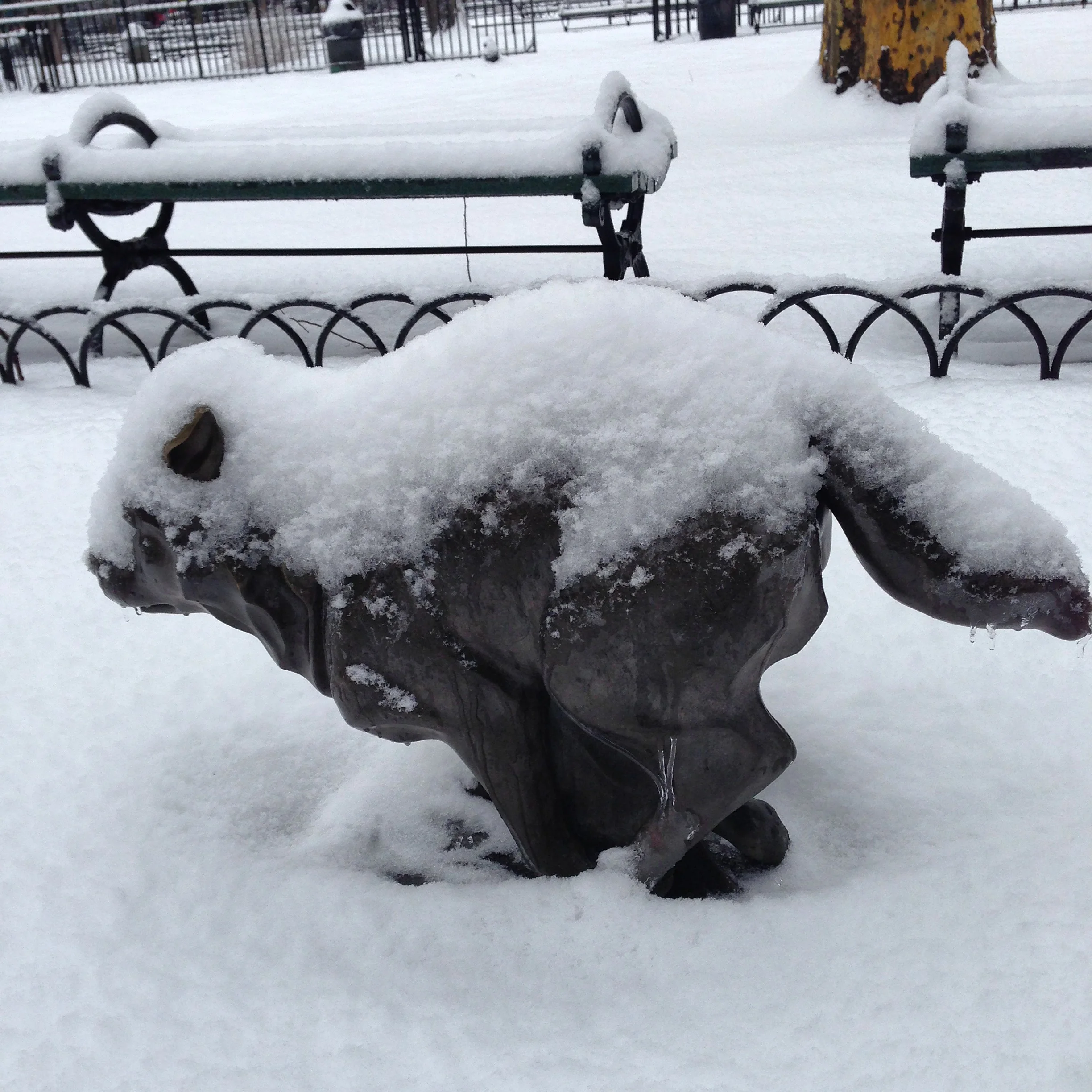 Togo, Alaska Hero Dog