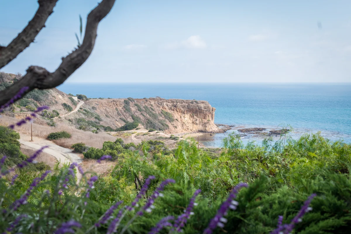 242 The Bacon Wedding.jpg